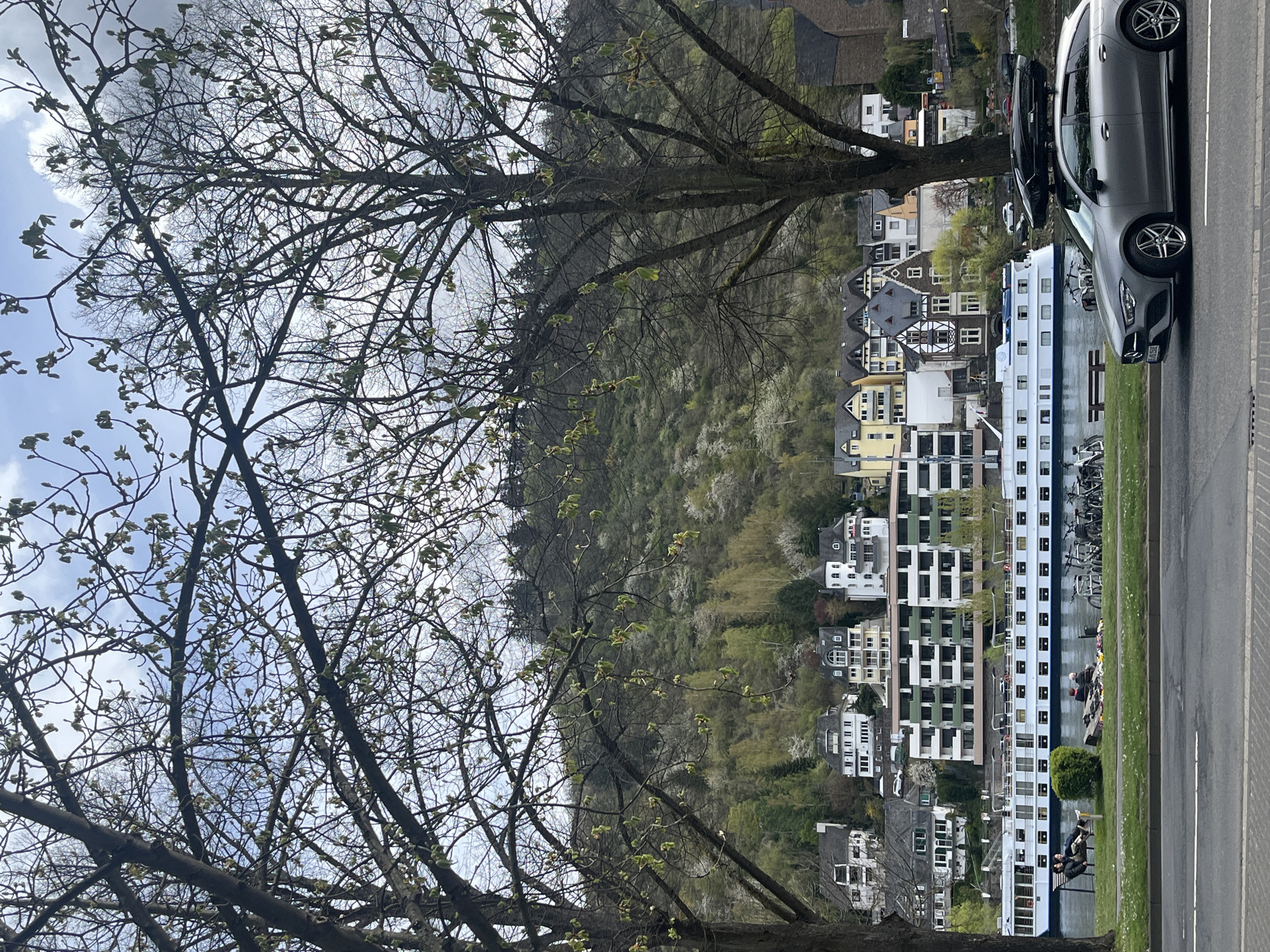 The photograph depicts a scene in Cochem, Germany, characterized by a confluence of urban and natural elements. Dominating the foreground are the leafless branches of trees against a backdrop of a cloudy sky. Progressing further into the scene, a hillside is visible, densely covered with a blend of trees in various stages of foliage. Nestled along the lower edge of the hillside are rows of houses exhibiting a variety of architectural styles and colors, interspersed with patches of green vegetation.
Parallel to the houses, a river or canal is bordered by a cruise boat. A paved road and adjacent grassy area define the closest edge of the foreground. A vehicle is parked on the right side of the image along the road. Groups of people are visible on a bench near the water.
The overall setting appears to be a picturesque town, with a mix of residential areas, natural landscapes, and transportation elements.