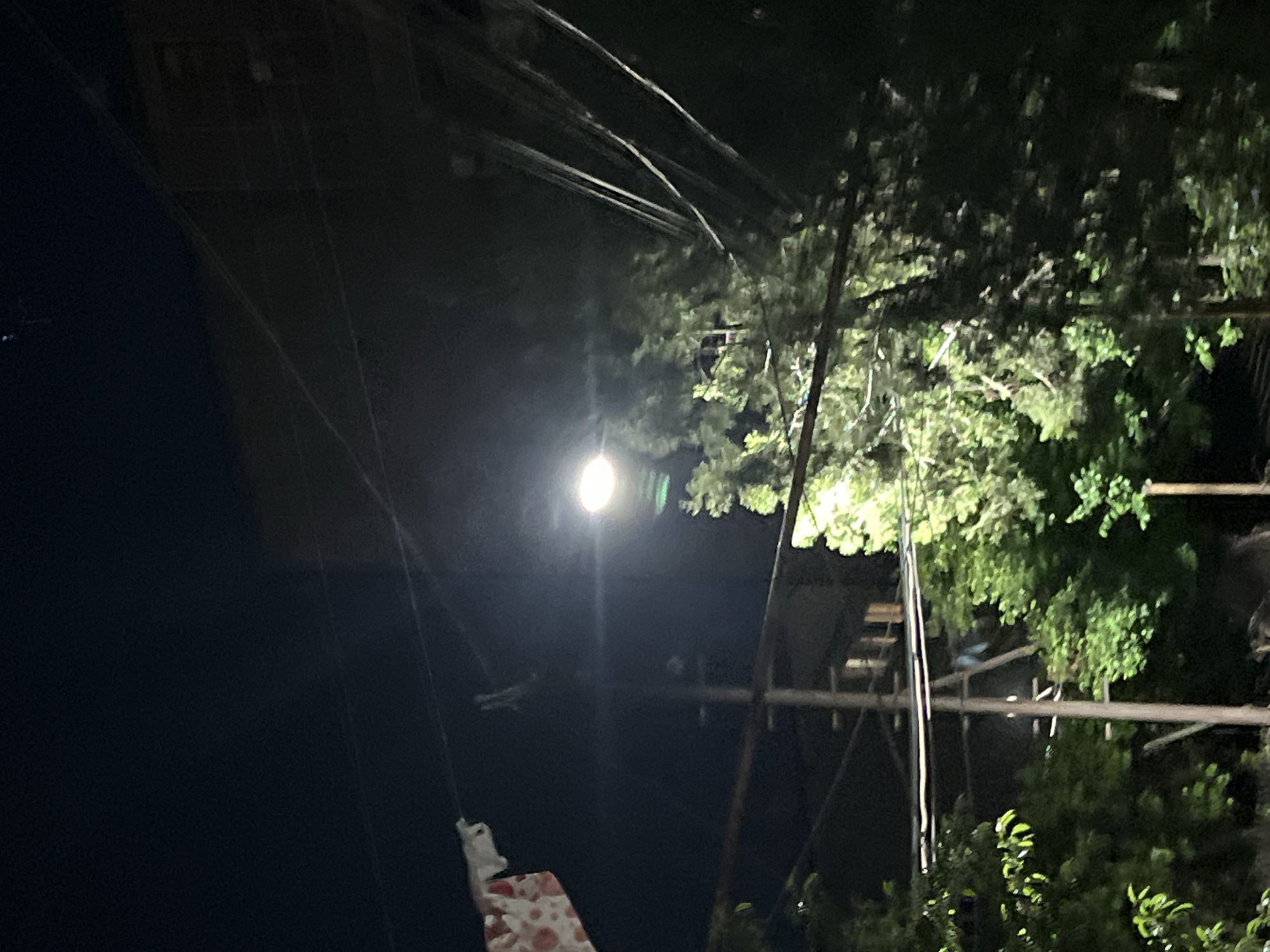 The image shows a nighttime scene with a street lamp illuminating a tree and foliage. Power lines run across the upper part of the frame. A scaffold or some kind of structure is partially visible amid the trees. In the foreground, there's an object with a red and white pattern hanging from a line. The city and country are unknown.