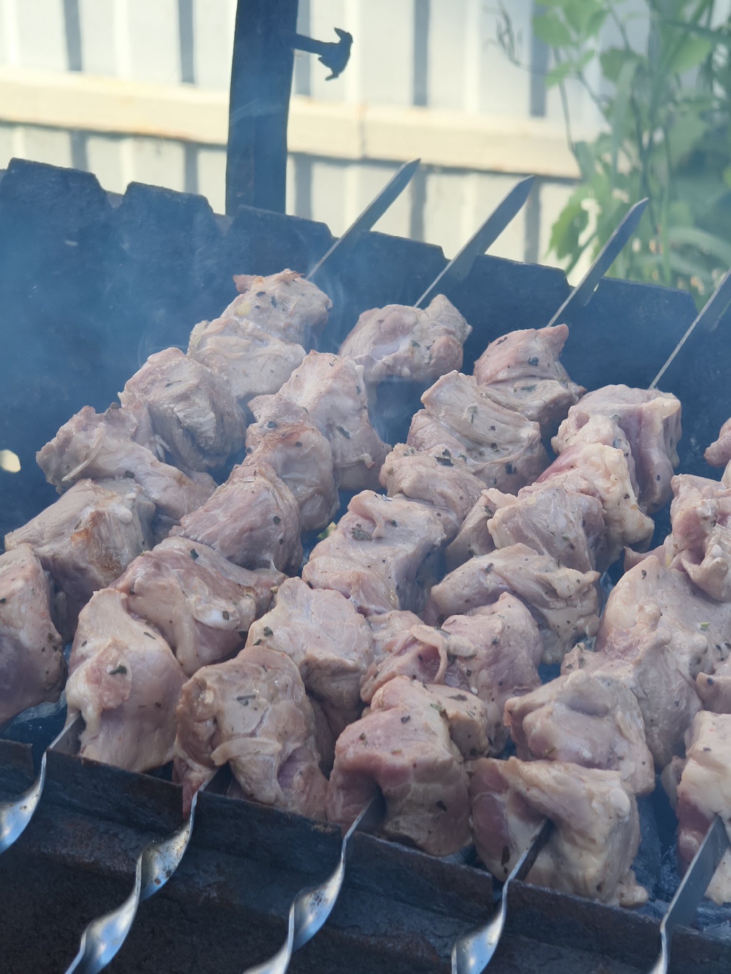 In a close-up shot, several skewers of meat are cooking on a grill. The meat pieces are pale and appear to be marinated, with visible herbs or seasoning. The metal skewers rest on the edge of a black, likely cast iron, grill. Smoke rises from the cooking meat. The background is slightly blurred but suggests an outdoor setting. The location is Chaikovsky, Russia.