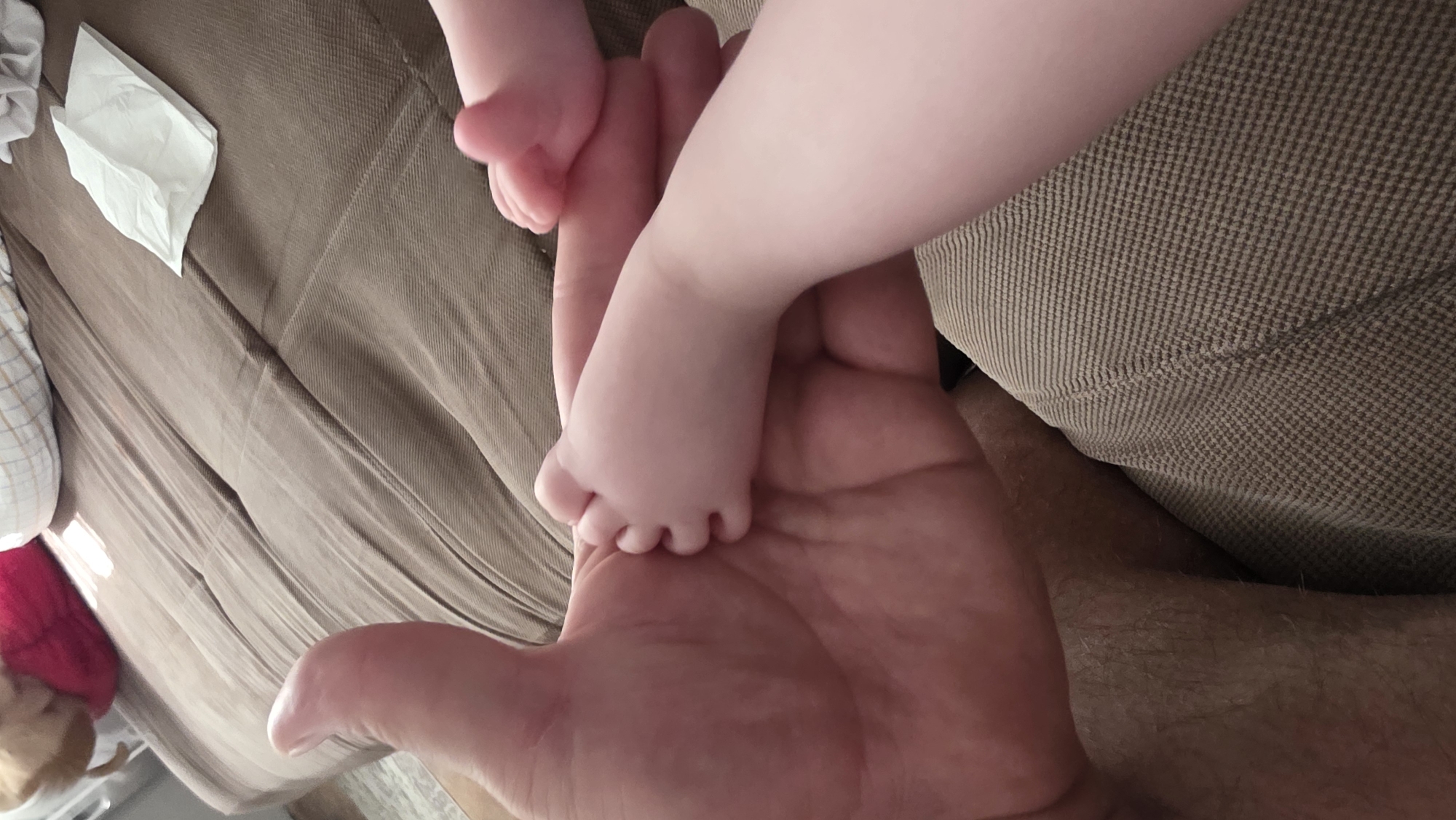 A close-up, eye-level shot captures a human hand holding a baby's foot. The hand is positioned palm up, with the baby's foot resting in the center. The baby's leg is visible above the foot. The background consists of a textured brown surface, possibly a couch or bedding. A white tissue is present in the upper left corner. The location is unknown and there is no indication of Blagoevgrad, Bulgaria.
