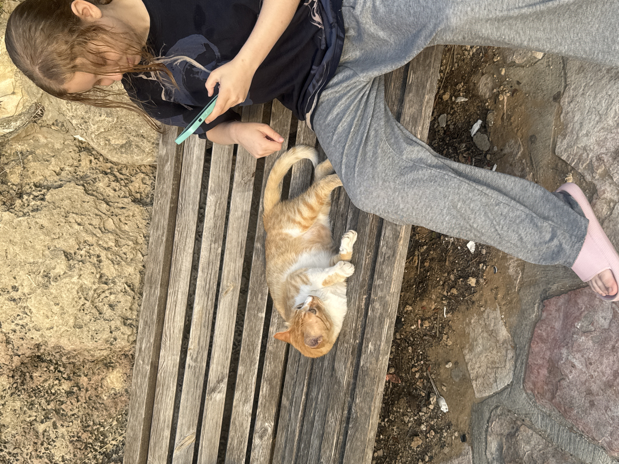 A young person with long, light brown hair, wearing a dark t-shirt and grey sweatpants, sits on a wooden bench. They are holding a light blue smartphone in their right hand, looking down at it. To their left on the bench, a ginger and white cat is lying on its side, facing the camera. The bench is situated outdoors, with a rough, beige rock formation behind it. The ground below the bench is a mix of dirt and stone paving. This scene is located in the city of Ramat Gan, Israel.