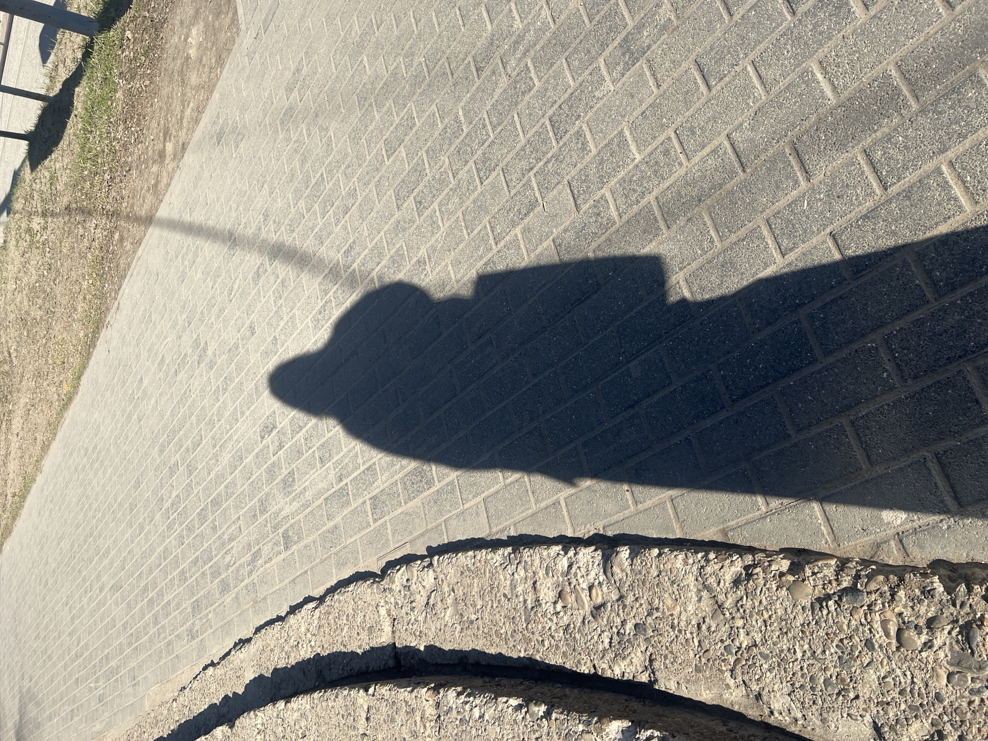 This ground-level image, captured in Chaikovsky, Russia, features a paved pathway under bright, direct sunlight. The scene is dominated by prominent, elongated shadows, suggesting either early morning or late afternoon.
The main subject is a large, dark shadow of what appears to be a person holding a device, likely a smartphone or camera, which is visible as a distinct rectangular shape above the rounded head of the shadow. This shadow stretches across the light-grey brick pavement from the lower-right towards the upper-left of the frame.
The pavement itself is constructed from small, rectangular grey bricks laid in a regular pattern. To the left of the paved path, a narrow strip of dry grass and dirt is visible, along with faint, elongated shadows of what may be a fence or railing running parallel to the path.
In the immediate foreground and extending to the bottom and right edges, there is a textured concrete structure, possibly a curb, step, or low wall, showing its rough, pebbled aggregate surface. Shadows are also cast upon this concrete element, highlighting its contours.
The bright sunlight and sharp shadows indicate clear weather. There is no visible text in the image.