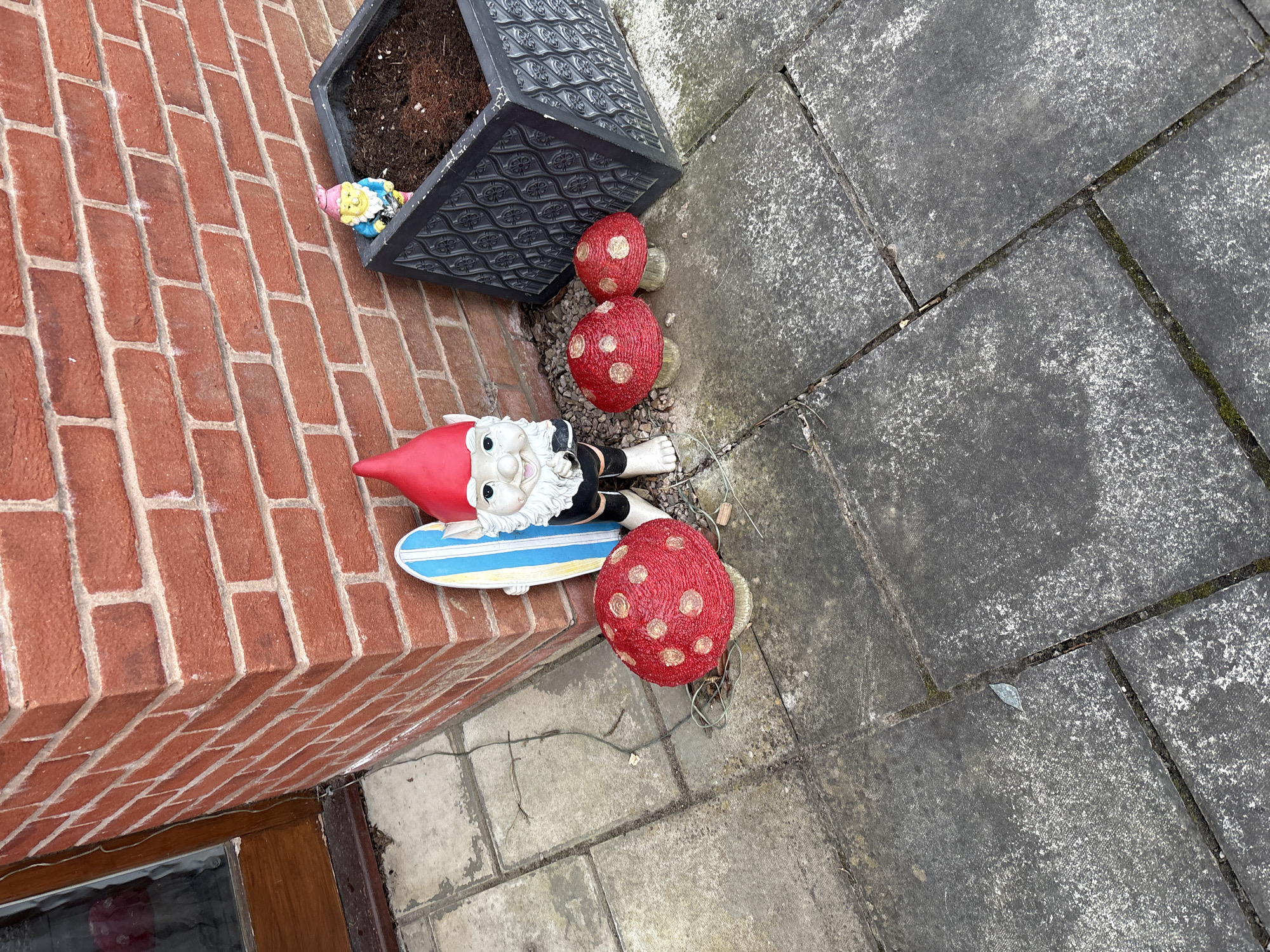 The scene depicts a small exterior area adjacent to a brick building in Shrewsbury, United Kingdom. A decorative gnome figurine lies horizontally on a toy surfboard, resting against the brick wall. Next to the gnome are three decorative red mushroom ornaments with white spots. A dark gray plastic planter sits above the gnome, containing soil and a small, unidentifiable object. The ground is paved with gray rectangular slabs. A portion of a wooden door and window frame is visible at the bottom left of the image. A string of lights is also visible.