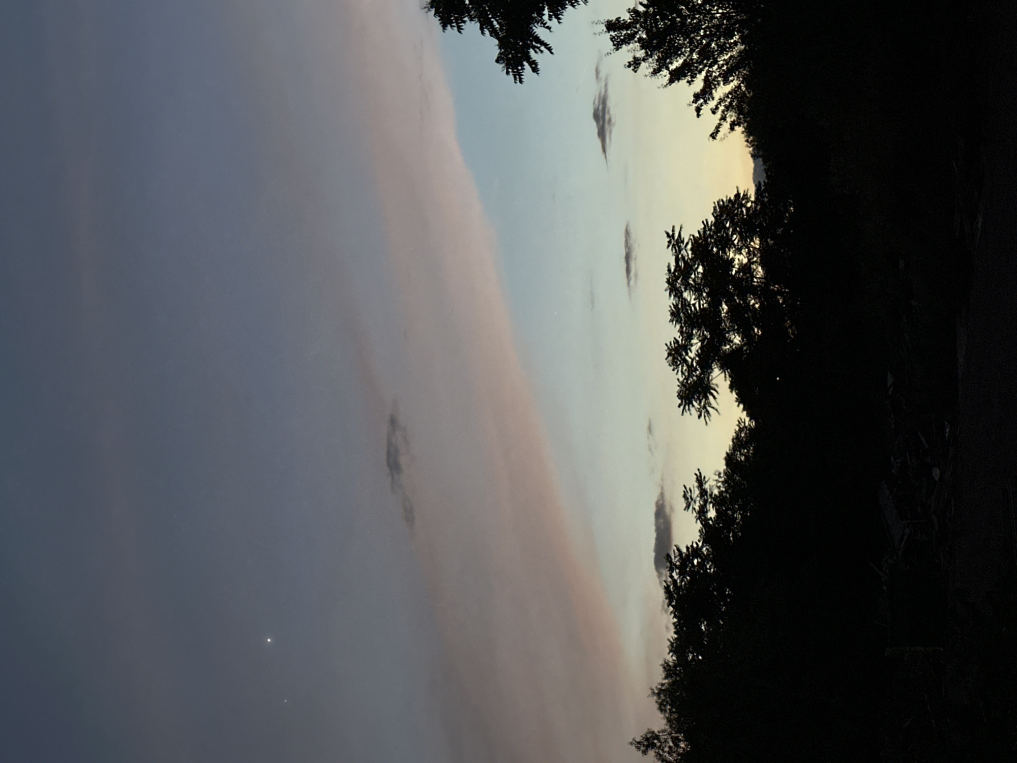 This image depicts a twilight sky over a silhouette of trees and what appears to be debris in the foreground. The sky transitions from a deep blue at the top to lighter shades of purple, pink, and pale blue closer to the horizon, with hints of yellow peeking through. A thin band of pinkish clouds stretches diagonally across the upper half of the sky, and a few smaller, darker clouds are scattered higher up. Two bright celestial bodies, likely stars or planets, are visible in the upper left quadrant. The lower portion of the image is dominated by the dark silhouettes of dense foliage and trees. In the very bottom section, there is a pile of dark, indistinct objects that could be construction debris or natural detritus. There are no people visible, and no actions are taking place. The scene is static and evokes a sense of dusk or pre-dawn stillness. The location is identified as being in the city of Sofia, Bulgaria.