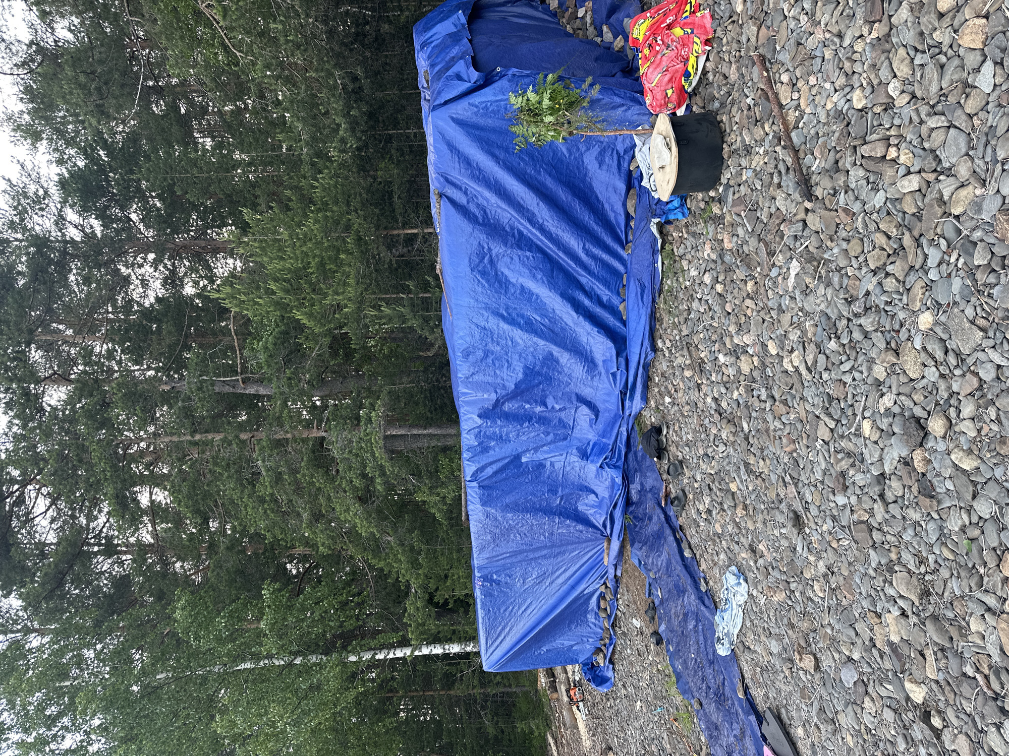 The image depicts a rocky shoreline with a dense forest in the background. A large, bright blue tarp is draped over what appears to be a long, rectangular object, possibly a boat or some form of shelter. The tarp is secured with rocks and other objects. Scattered around the tarp are various items, including a pair of flip-flops, a blue towel, a black container with a lid, and a red and yellow patterned blanket. A small, leafy plant stands near the right side of the tarp. To the left of the tarp, an orange chainsaw is visible on the ground. The environment is natural and appears to be in a somewhat undeveloped area. The location is described as the city of Soanlakhti, Russia.