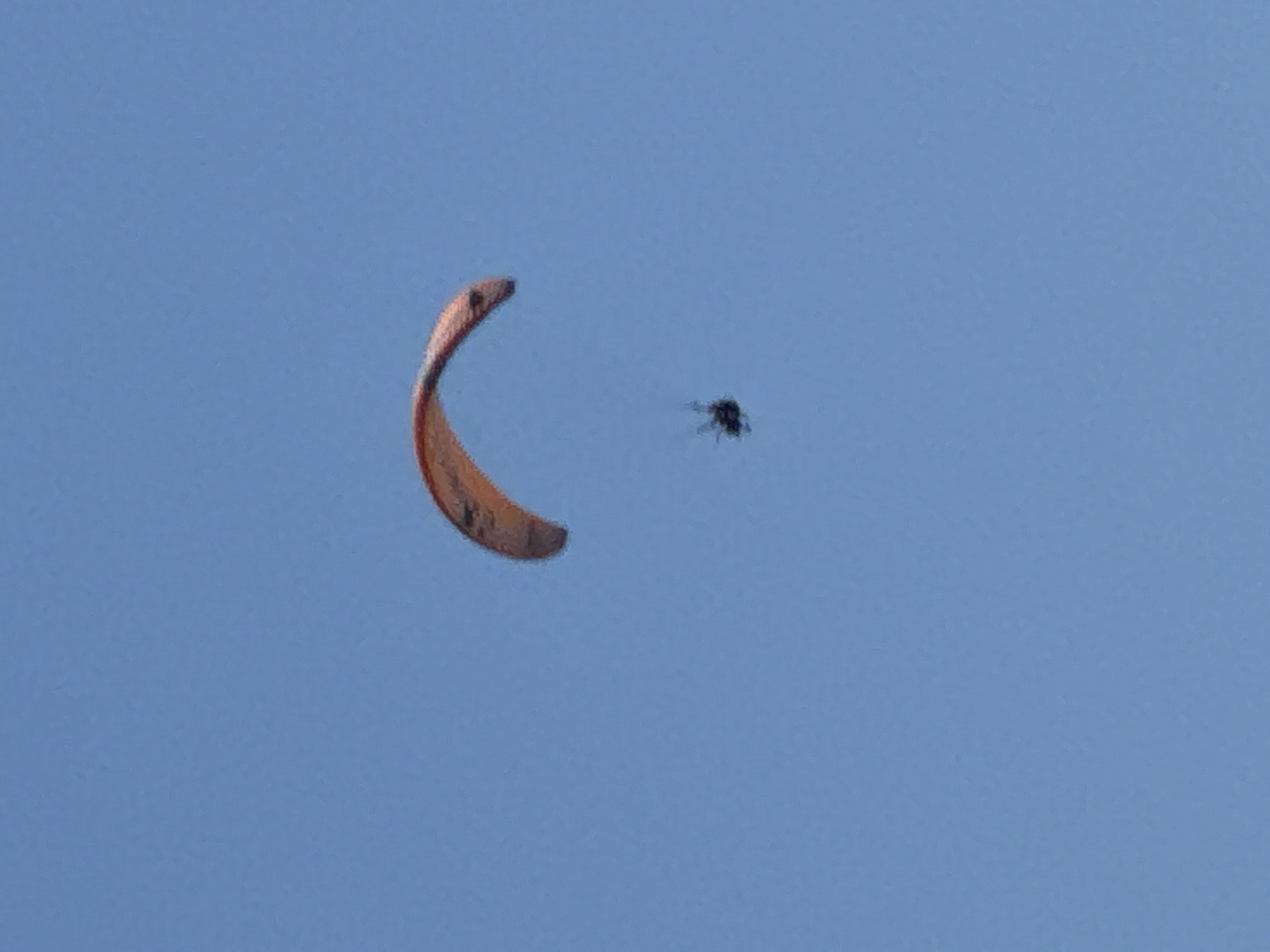 A paraglider is seen in mid-air against a clear blue sky. The paraglider, colored orange and brown, is large and curved, suspended above a much smaller figure underneath. The figure beneath appears to be a person, dressed in dark clothing, attached to the paraglider by lines. The scene is devoid of any urban or natural landscape elements, suggesting the paraglider is airborne at a significant altitude. No specific location in Boreti, Montenegro, can be determined from the image.