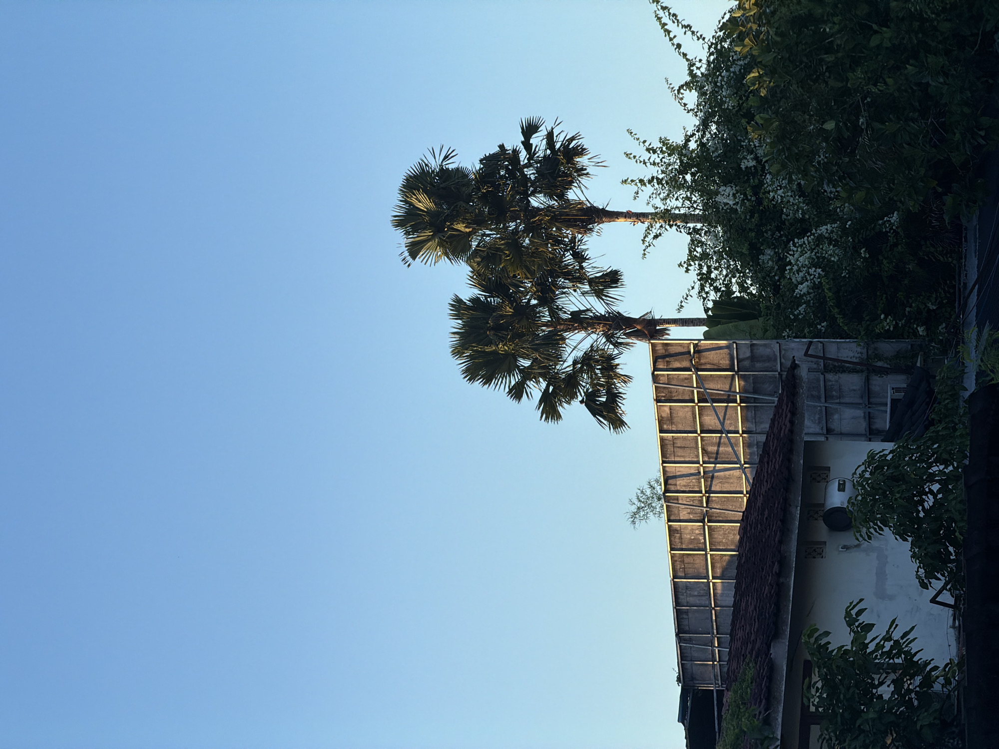 The image shows a scene in North Kuta, Indonesia, featuring a clear blue sky above a building partially obscured by trees. Two palm trees with dense, round canopies are prominent on the left. To the right of the palm trees is a building with a tiled roof and a textured, possibly metallic, screen or wall above it. Vines and other foliage are visible against the building. A cylindrical object, possibly a water heater, is mounted on the building's exterior. The perspective is from a low angle, looking upward.