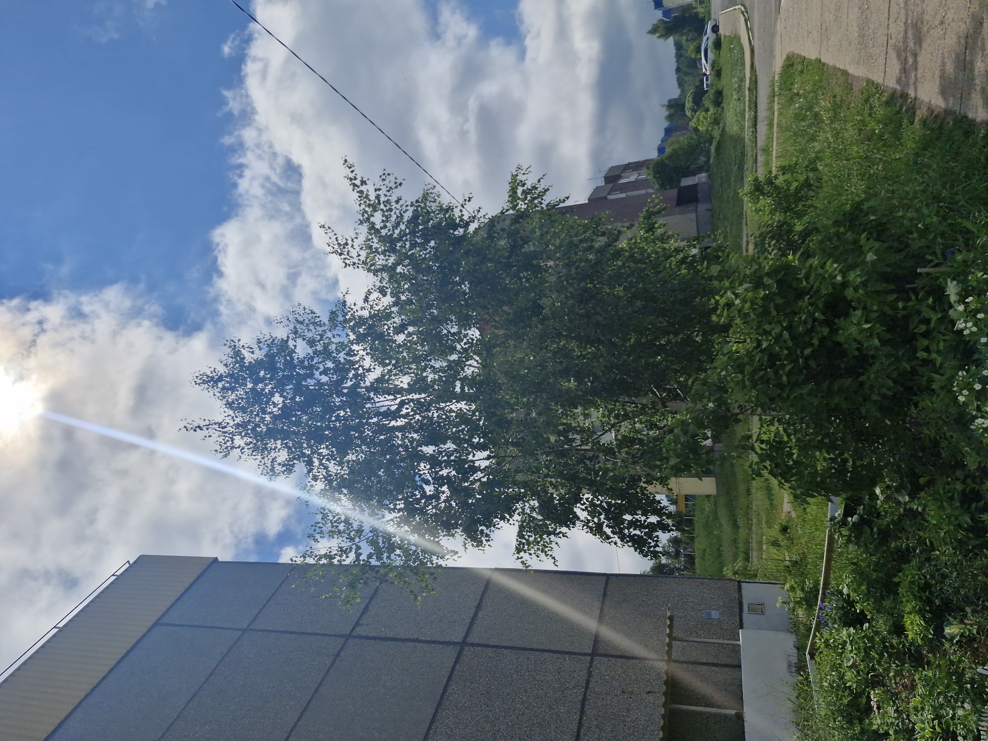 The image captures an outdoor scene on a bright, cloudy day. The sky is a prominent feature, displaying patches of clear blue alongside scattered white cumulus clouds. A strong sun flare emanates from the upper left (when rotated correctly), casting bright rays across the scene. A thin black utility line stretches horizontally across the sky.
In the center of the frame is a large, deciduous tree with abundant green foliage, suggesting spring or summer. To the right and bottom right, dense green bushes and grass cover the ground.
Several buildings are visible. A large, grey building with a textured, paneled facade occupies the lower left portion of the image. Further in the background, another building with multiple stories and a flat roof is partially obscured by the central tree. A paved path or road runs along the right side of the image, curving into the distance. A light-colored car is parked on this paved area further down the path.
No specific human activity is discernible. The scene appears to be a quiet, possibly residential, area during the daytime. There is no visible text.