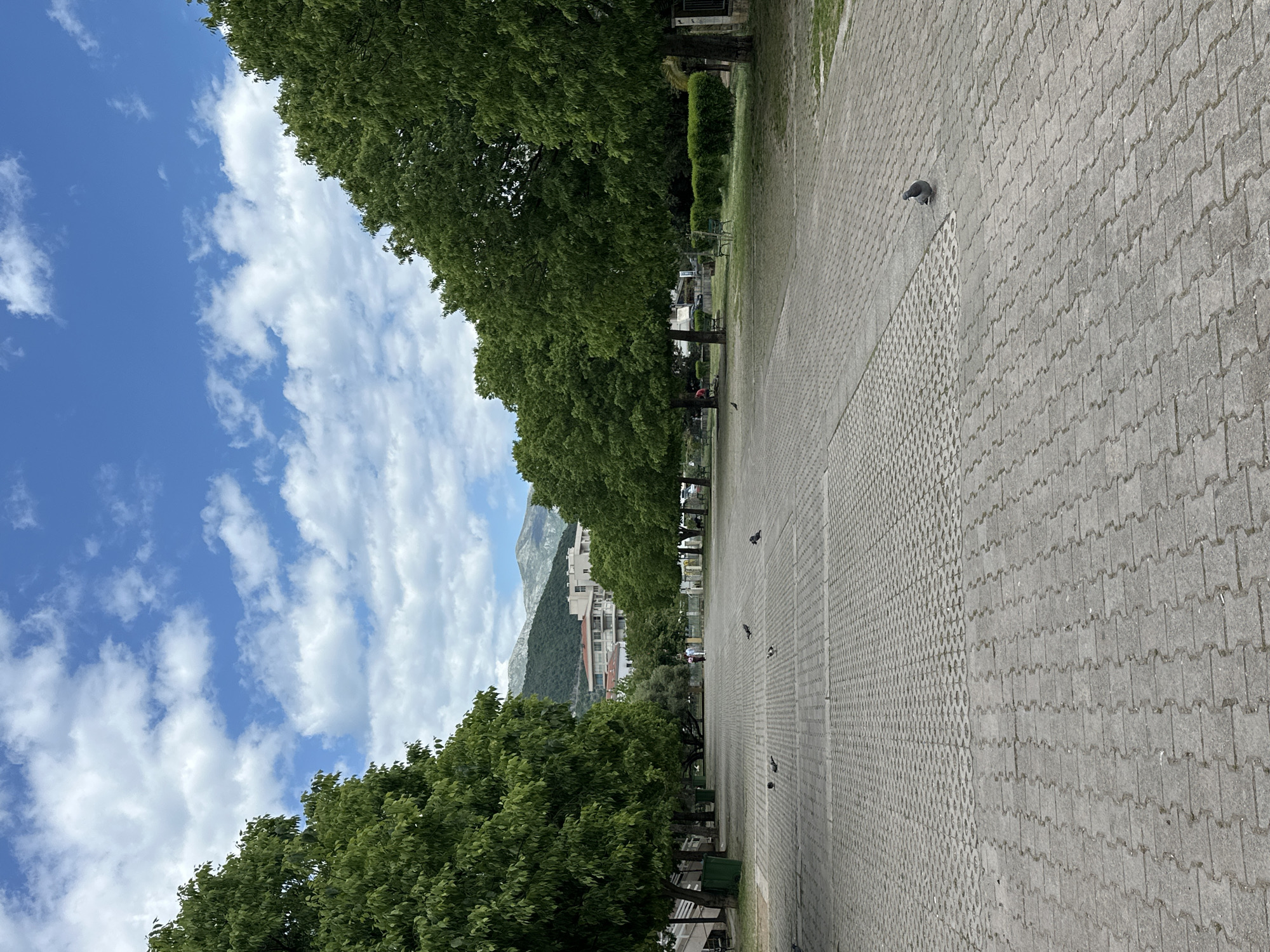 The image depicts a wide, paved pedestrian walkway in Budva, Montenegro, flanked by mature trees. A mountain range is visible in the distance. The sky is blue with scattered white clouds. Several pigeons are scattered along the walkway. Benches and trash receptacles line the path. A few buildings are visible in the mid-ground. One person is visible sitting on a bench. The paving is made of interlocking gray bricks, with an area of paving with holes.
