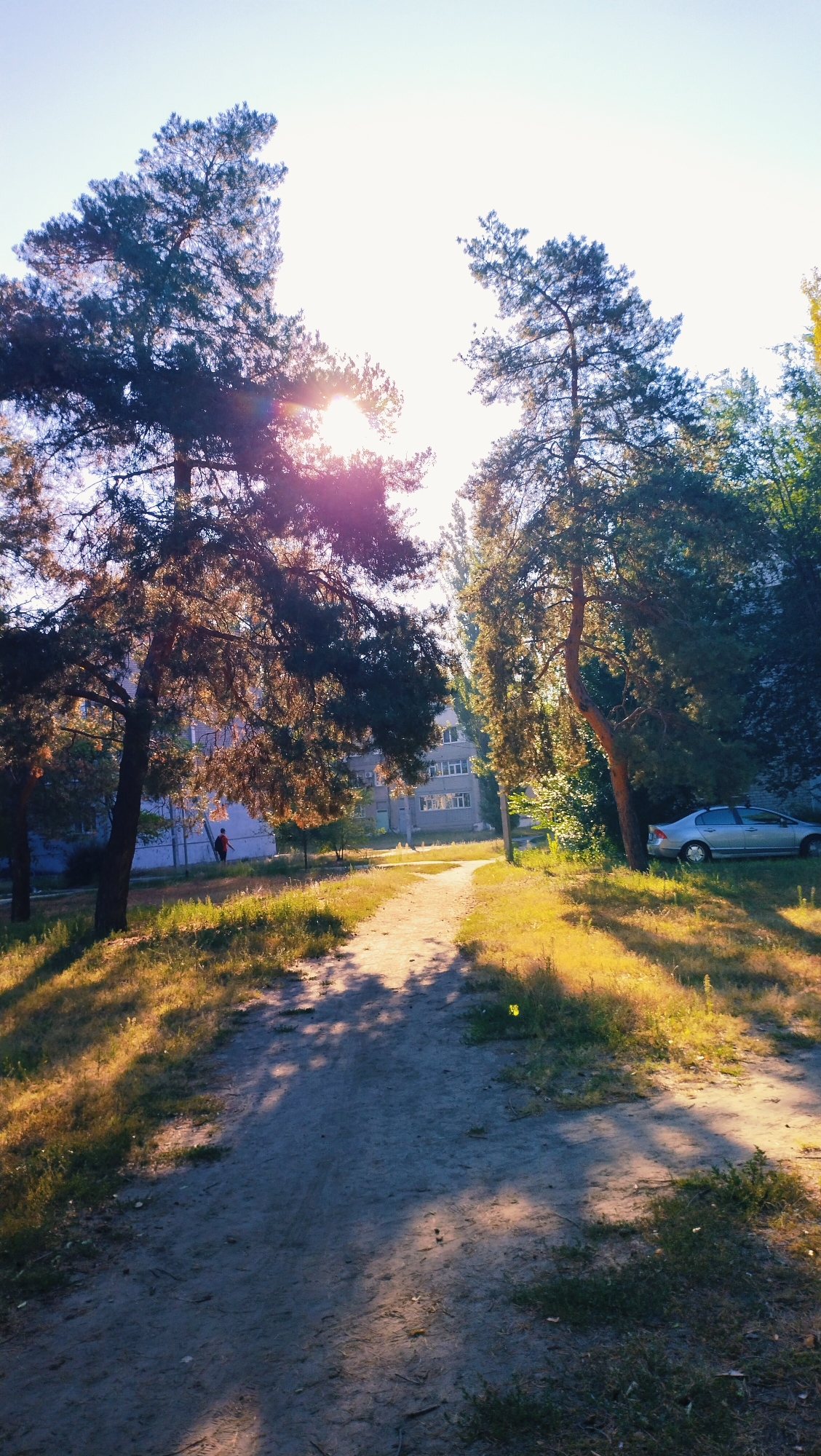 The image depicts a sun-drenched path in a residential area, likely in Horishni Plavni, Ukraine. Tall pine trees flank the path, their branches casting dappled shadows on the sandy ground. The sun's rays pierce through the foliage, creating a lens flare effect and illuminating the scene with a warm, golden light. To the left, a multi-story residential building is visible behind the trees, with windows reflecting the bright sky. A single individual, dressed in red, is walking on the path towards the building. To the right, a silver sedan is parked on a grassy area beside the road, partially obscured by trees. The environment suggests a peaceful, late afternoon or early morning setting in a well-established urban neighborhood.