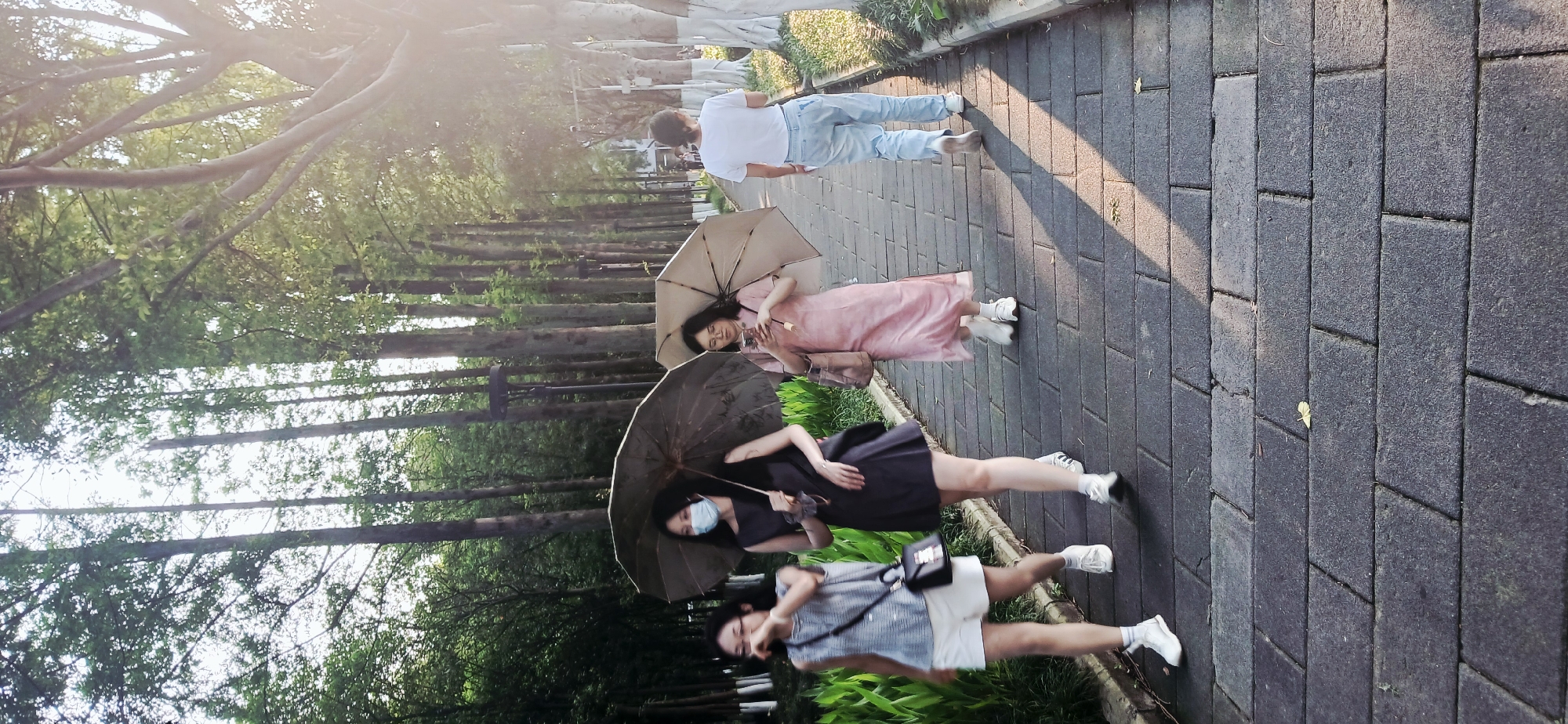 A sunny outdoor shot, likely in the afternoon, shows four people walking along a paved path lined with trees in Chongqing High-tech Zone, China. The path is made of dark gray rectangular blocks. On the left side of the path are tall trees forming a canopy overhead. The light filters through the trees, casting shadows.
From left to right, the people are:
1. A person wearing glasses, a striped shirt, white shorts, and white sneakers, carrying a black purse.
2. A person wearing a dark dress, a face mask, and white sneakers, holding an open dark umbrella.
3. A person wearing a pink dress and white sneakers, carrying an open light umbrella and a bag.
4. A person in a white t-shirt and light blue jeans, walking ahead of the group.