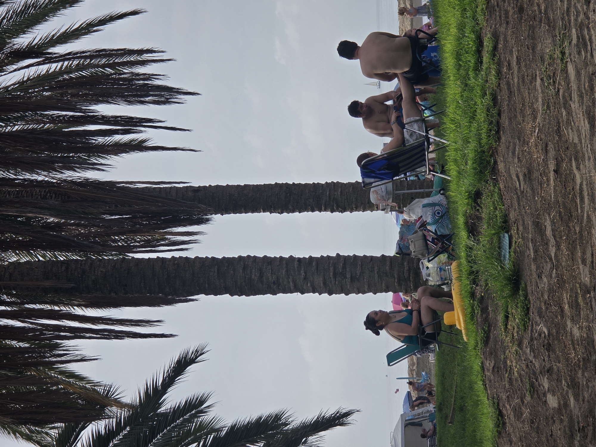 Four individuals are seated in beach chairs on a grassy area overlooking a beach. Two palm trees with thick, textured trunks and long fronds dominate the foreground. In the background, the ocean is visible under a cloudy sky, with a sailboat in the distance. A woman in a teal bathing suit sits in a green beach chair on the left, facing right. To her right, three men are seated in beach chairs. The man on the far right is facing away from the camera, while the other two men are facing each other and the woman. Various beach items, including bags and a yellow inflatable toy, are scattered around the chairs. The beach area appears to be populated with other beachgoers and tents. The scene suggests a casual outing at a beach in Málaga, Spain.