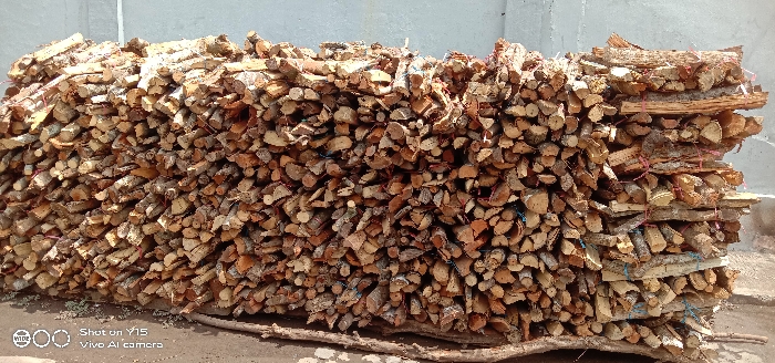 A large, rectangular stack of dried firewood is centrally positioned outdoors in Sebaung, Indonesia. The pile consists of numerous cut wood pieces of various lengths and diameters, some retaining bark, uniformly stacked and organized. Many smaller bundles within the main stack are bound with visible red and blue twine or rope. The wood rests on larger logs forming a base on what appears to be a light-colored ground surface. A plain, light-colored wall or structure serves as the background. No individuals, actions, or interactions are visible.