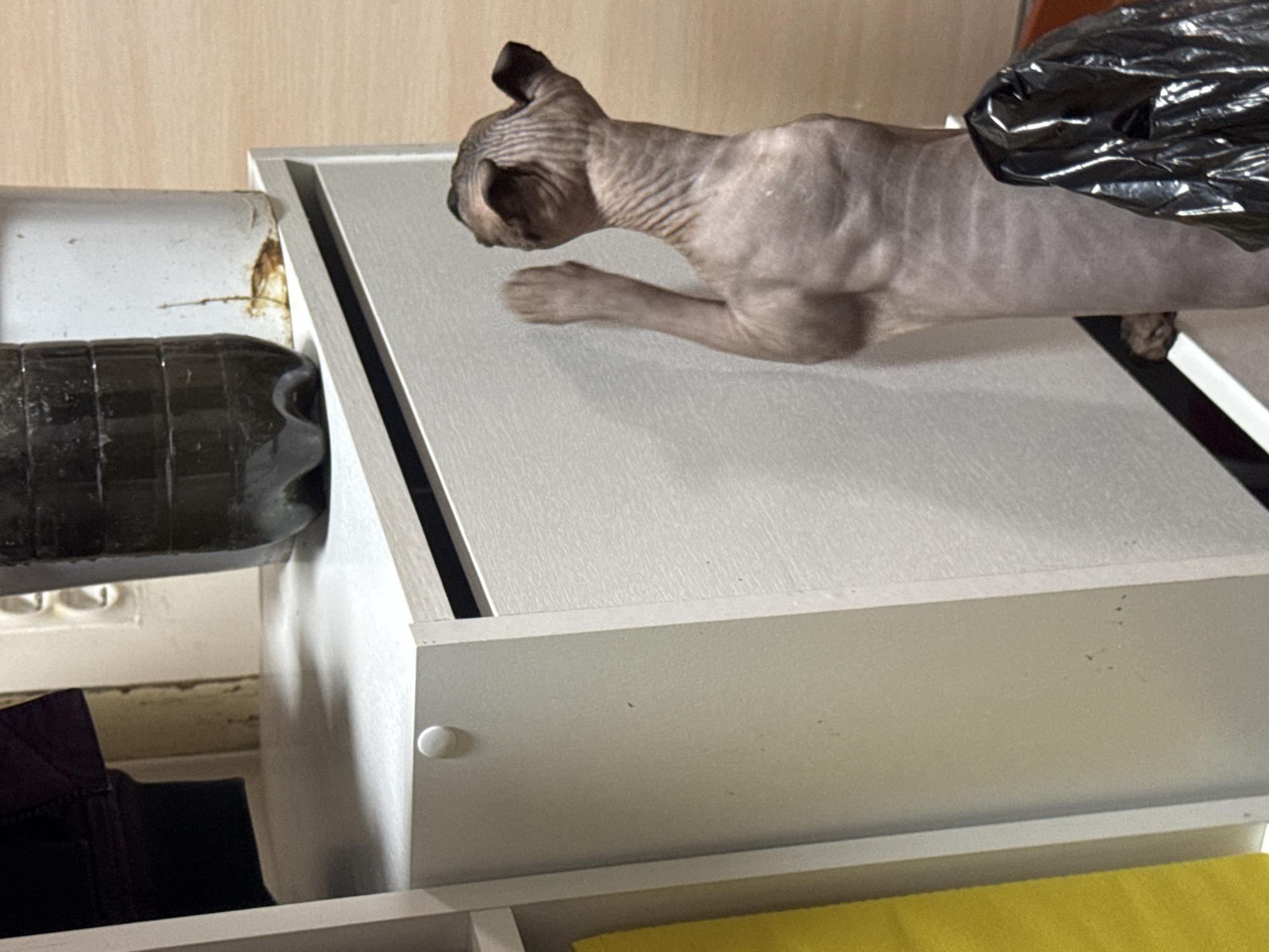 A hairless cat, likely a Sphynx breed, is resting on top of a white cabinet. The cat is in a reclined position, with its head facing to the left and its body extending to the right. Its skin is wrinkled and has a greyish-pink hue. A black, crinkled plastic bag is partially draped over the cat's hindquarters.
The cabinet appears to be made of wood and has a smooth, white finish. A white round knob is visible on the front of the cabinet. To the left of the cabinet, a dark, ribbed plastic bottle is positioned horizontally. The bottle appears to be partially filled with a dark liquid. Behind the bottle, a white pipe or tube is visible, with some brownish staining near its edge.
The background consists of a wall with a light wood grain pattern. The scene is indoors, with artificial lighting. The overall impression is one of a casual, domestic setting. There is no visible text in the image. The time of day and weather conditions are not discernible from the image.