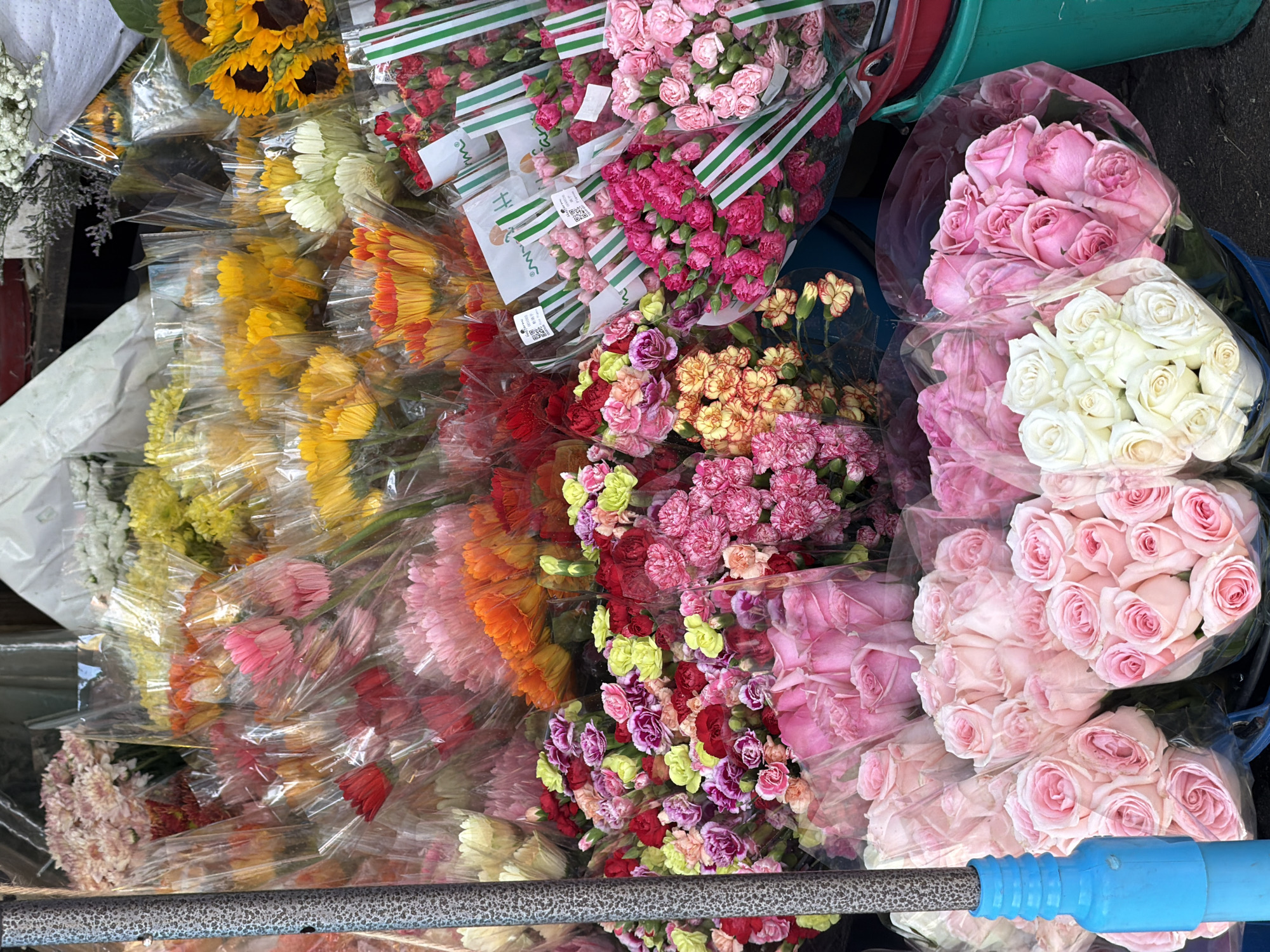 A colorful assortment of flowers is displayed on a street in Chiang Mai City Municipality, Thailand. The flowers, predominantly roses, carnations, and sunflowers, are packaged in clear plastic and arranged in buckets. The scene appears to be a flower stall, with a variety of blooms in shades of pink, red, yellow, orange, and white. Some of the flower bunches have decorative green and white striped paper wrapping. The background suggests an outdoor setting with a rough, dark surface that could be pavement or ground. A blue pole with a textured metallic surface is visible on the left side of the image, likely part of the stall's structure or a nearby object. The overall impression is one of a vibrant marketplace.