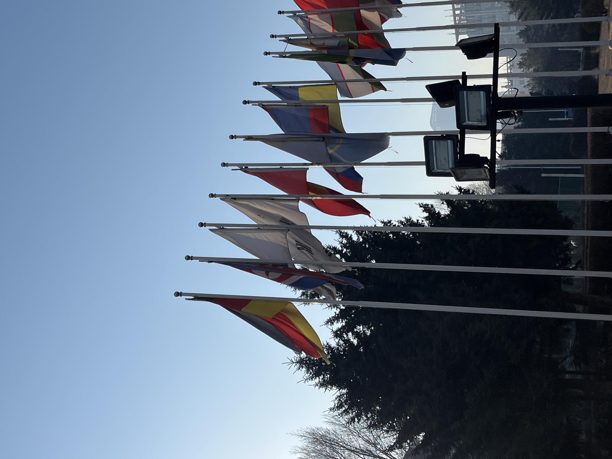 A photograph captures a series of international flags displayed on white poles. The flags are hanging limp in the absence of wind. Located behind the flags are street lights and trees, suggesting the location is outdoors. The background also contains buildings, and the sky is clear and blue. Based on the architecture and landscape, it is likely that this photograph was taken in Changchun City, China.