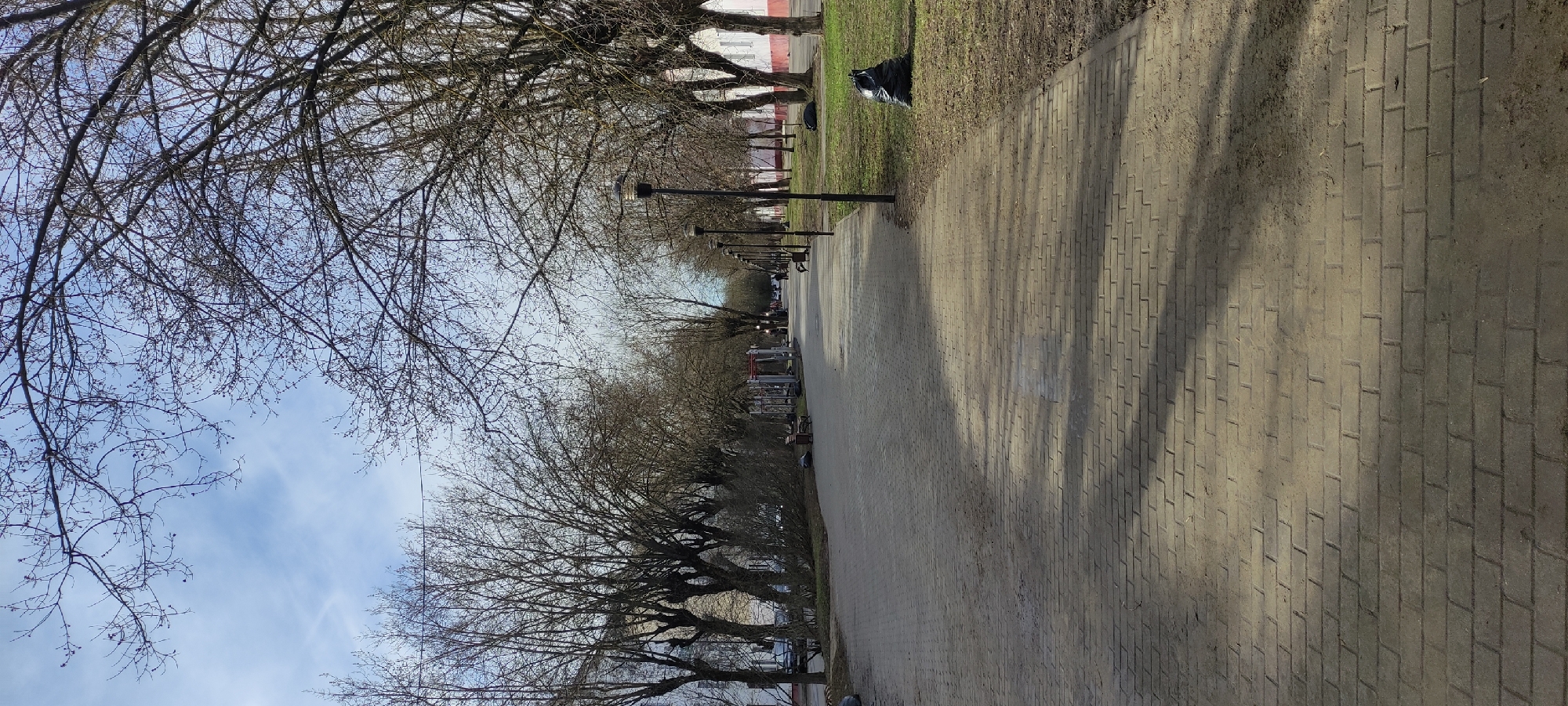 A street in Fryazino, Russia, is paved with rectangular bricks. A row of bare trees flanks both sides of the street, with tree branches reaching toward a cloudy sky. Black trash bags are present on the grass alongside the walkway. In the distance, lamp posts line the street. Benches and outdoor exercise equipment are visible. Some people are walking in the distance. Buildings appear in the background.