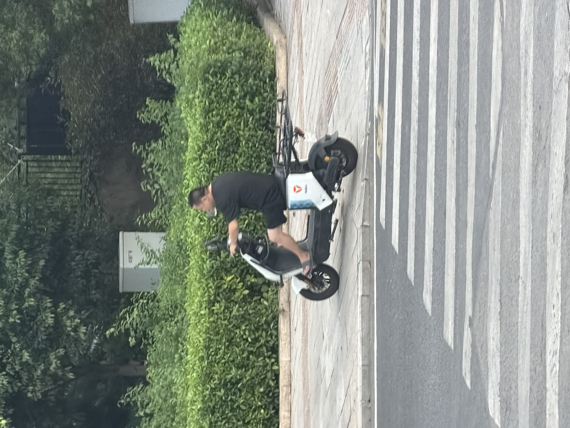 A full-shot, eye-level, outdoor, slightly blurry, medium-distance photograph captures a man riding a white electric scooter on a paved sidewalk. The man, who appears to be of Asian descent and has short, dark hair and a receding hairline, is wearing a black t-shirt and black shorts. He is seated on the scooter, facing right, with his left arm resting on the handlebars and his right hand holding what appears to be a white cup. His feet are visible, clad in flip-flops.
The electric scooter is primarily white with black accents and has a visible logo on its side. It is equipped with a rack on the back. The scooter is positioned on a sidewalk made of interlocking gray pavers, bordered by a concrete curb.
In the background, a dense hedge of green foliage runs along the sidewalk. Behind the hedge, a light gray rectangular utility box with Chinese characters is visible. Further back, a variety of trees and shrubs create a natural backdrop, with some darker foliage and branches visible. A metal fence can be seen in the upper left portion of the image, partially obscured by trees.
In the foreground, a portion of a street with a white crosswalk is visible, indicating an urban or suburban setting. The lighting suggests it is daytime, likely overcast given the diffused light and lack of harsh shadows. The image appears to have been taken in the city of Jiangjin, China, based on the context provided.