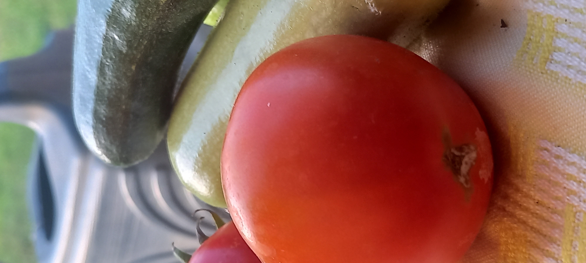 A close-up, low-angle shot captures a collection of fresh vegetables resting on a patterned yellow and white cloth. In the foreground, a bright red tomato is the most prominent subject, its smooth skin reflecting the light. To its right and slightly behind, a pale green zucchini lies horizontally, its surface subtly textured. Further back, a dark green cucumber is visible, also positioned horizontally, partially obscuring the zucchini. The background is blurred, showing a hint of green foliage and a dark, indeterminate object, possibly outdoor furniture. The scene appears to be set outdoors, likely in a backyard or garden setting, which is a common sight in Kryvyi Rih, Ukraine, where residents often cultivate their own produce. The lighting suggests it is daytime, with natural light illuminating the vegetables.