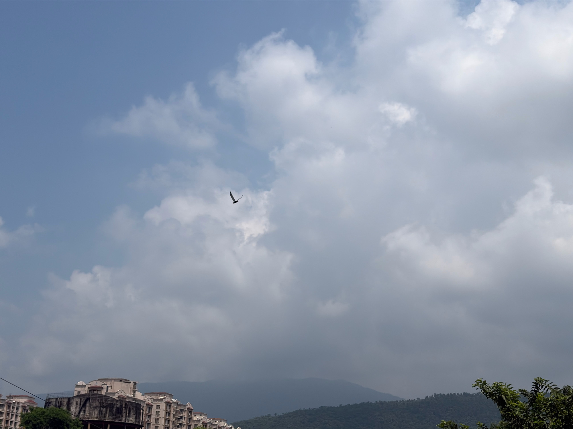 The image shows a cloudy sky with a bird flying in the distance. In the lower part of the image, there are buildings that appear to be residential apartments, and a large, dark, cylindrical structure. Beyond the buildings, there are hills covered in trees. The scene suggests an urban environment with natural elements. The specific location in Jamshedpur, India, is not discernible from the visual information alone, as Jamshedpur is a major industrial city with distinct architectural and geographical features that are not clearly identifiable here.