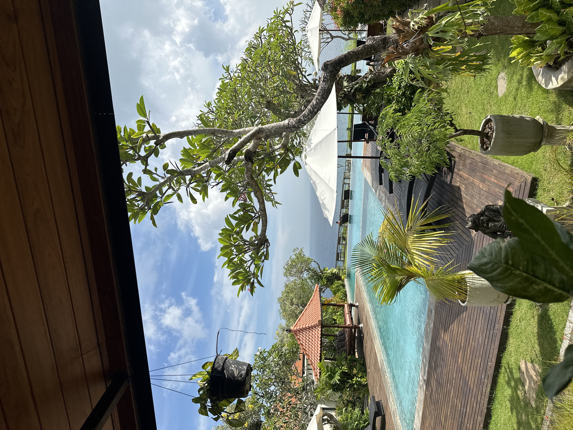 The image displays a bright, sunlit outdoor scene at a tropical resort or villa, overlooking the ocean. The view is partially framed from beneath a wooden ceiling or roof overhang, visible in the upper left.
A light blue infinity pool with dark wooden decking runs horizontally across the middle of the frame. Beyond the pool, the vast, deep blue ocean stretches to the horizon, meeting a clear blue sky dotted with scattered white clouds. Several white market umbrellas are strategically placed along the pool's edge, suggesting areas for relaxation.
The landscape is rich with lush tropical vegetation. A large frangipani tree with light green foliage and gnarled branches dominates the upper left, while a vibrant green palm tree is visible in the foreground near the pool. Other plants include a large staghorn fern mounted on a tree, a small potted tree on a stone pedestal, and a hanging potted plant. A traditional-style gazebo featuring a distinctive red-tiled roof is nestled amidst the greenery on the left side of the pool. A dark, possibly animal-shaped, statue is partially visible on the wooden deck.
The time of day appears to be mid-day, characterized by bright, direct sunlight and shadows. The weather is clear and sunny. No people or specific activities are depicted, conveying a sense of tranquility and an inviting atmosphere for leisure and relaxation. The setting's features, including the infinity pool, tropical plants, and ocean view, are consistent with the provided location context of Kuta Selatan, Indonesia. No visible text is present in the image.