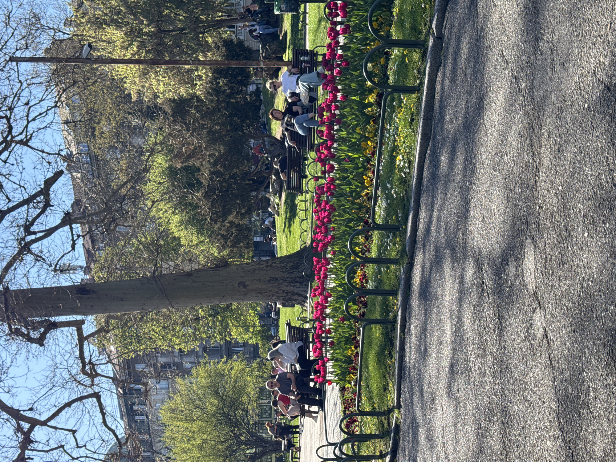 The image depicts a sunny scene in a park located in Sofia, Bulgaria. Along a paved path lined with green metal guardrails, a vibrant flowerbed featuring red tulips and yellow pansies adds color. Several people are sitting on benches, enjoying the pleasant weather. Some appear to be relaxing, while others are conversing. The park is lush with greenery, including mature trees, some still bare from winter while others are in full bloom. Tall buildings can be seen in the background, indicating an urban setting. A surveillance camera is mounted on a pole near the trees. The overall atmosphere is relaxed and peaceful.