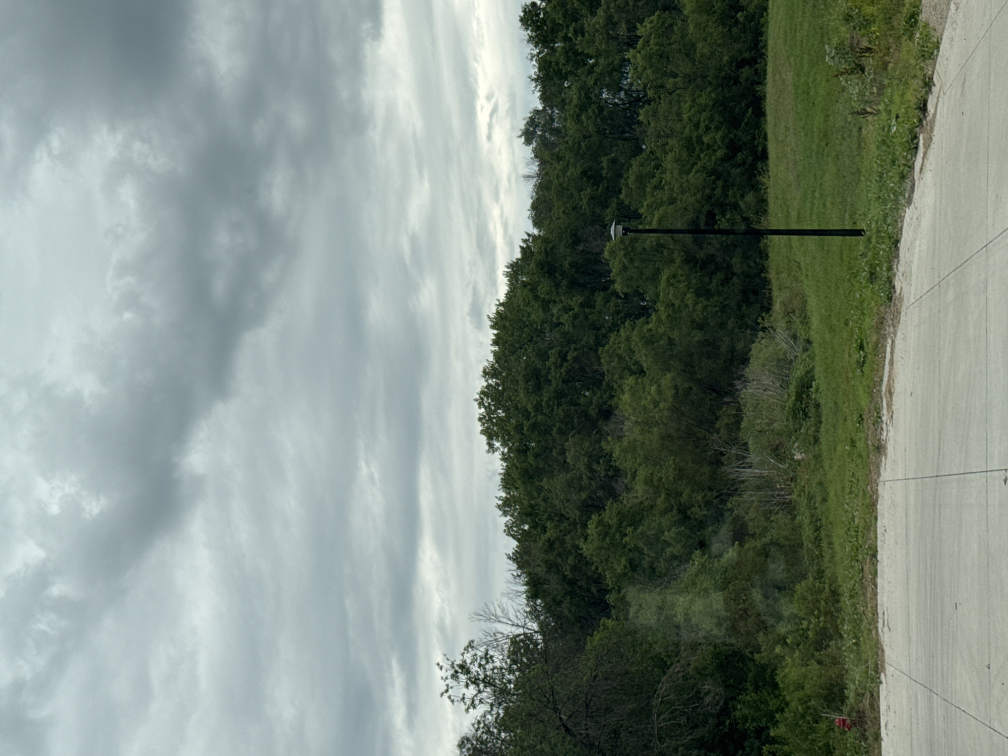 The image depicts a scene from an outdoor environment with a cloudy sky overhead. In the foreground, there is a paved surface, possibly a sidewalk or road, with visible expansion joints. To the right of the paved area, a patch of green grass is visible, dotted with weeds. A dark, thin pole, likely a lamp post, stands in the grass.
Behind the grass, a dense line of green trees forms a natural barrier, obscuring the landscape beyond. The trees are varied in height and density, creating a lush, natural appearance. To the left of the trees, a section of the foliage appears lighter and more sparse, with some bare branches visible amongst the green leaves.
Further to the left, a bright red object, possibly a fire hydrant, is partially visible at the edge of the green grassy area. The overall impression is of a transitional area between a developed space and a natural, wooded environment. The lighting is subdued due to the overcast sky, casting a diffused light over the scene. No people are visible in the image.