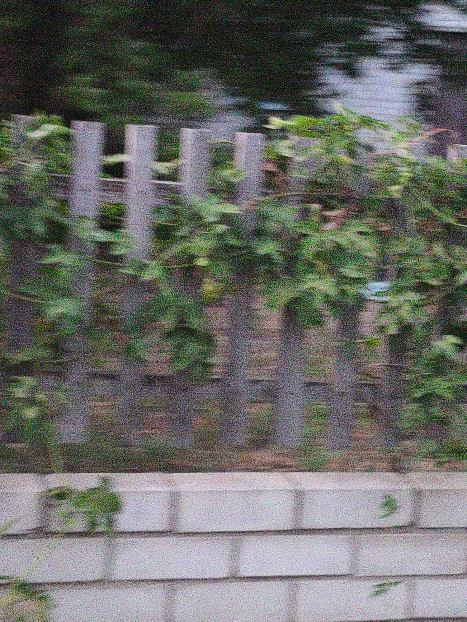 The image is a blurry, pixelated view of a white brick wall in the foreground, with a wooden fence and green foliage behind it. The overall lighting suggests it is daytime, but the blurriness indicates movement. The location in the city of Aktobe, Kazakhstan, cannot be determined from the visual information provided in the image.