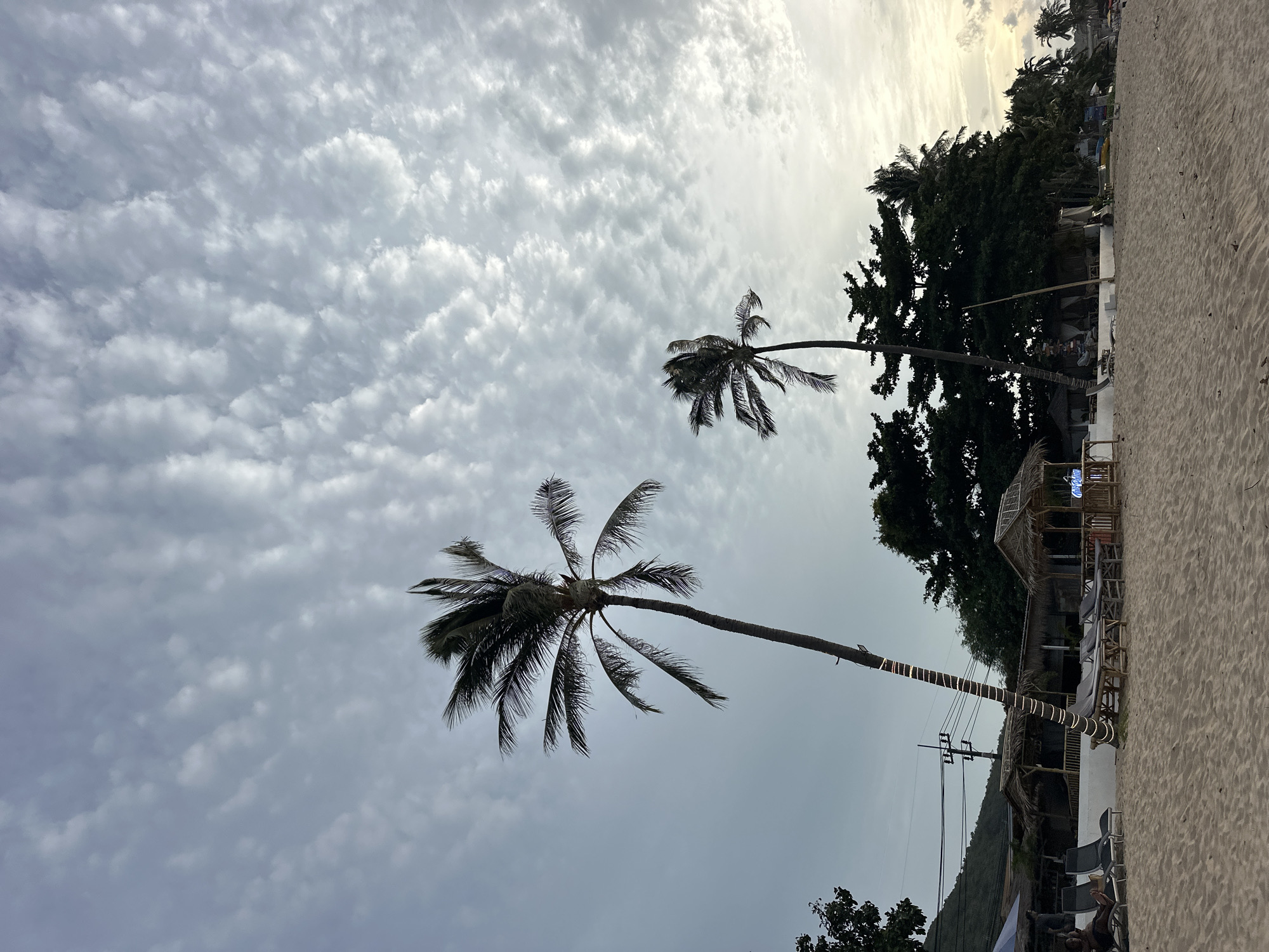The image depicts a tropical beach scene on Ko Samui District, Thailand, under a dramatic, cloudy sky. Two prominent palm trees dominate the foreground, with one taller, slender tree on the left and a shorter, more windswept one to its right. Both trees are silhouetted against the overcast sky, with the taller tree adorned with a string of festive lights wrapped around its trunk.
In the mid-ground, a strip of beach with fine, light-colored sand stretches horizontally. Several lounge chairs and low-lying bamboo seating areas are arranged on the sand, some covered by thatched-roof huts, suggesting a resort or a beachside establishment. Behind these, a line of lush green trees and vegetation forms a dense backdrop, with some buildings and structures partially visible among them, including what appears to be a small pavilion with a thatched roof and wooden railings. Electrical wires and utility poles are also visible in the distance, hinting at the presence of nearby infrastructure.
The sky is filled with a dense layer of white and gray clouds, arranged in a patterned, undulating formation, creating a sense of depth and texture. The overall lighting suggests it may be late afternoon or early evening, with a soft, diffused light. The scene conveys a tranquil, yet slightly moody, atmosphere typical of a tropical beach setting.