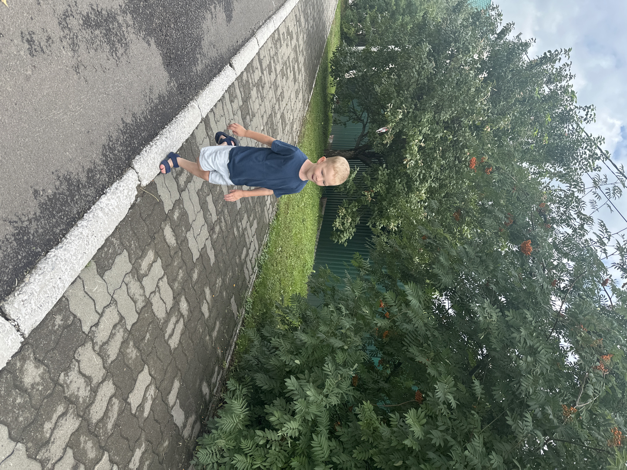 A young boy with blond hair walks along a paved sidewalk beside a street. He wears a dark blue t-shirt and light-colored shorts with blue sandals. The sidewalk is made of interlocking gray pavers and has a white, rough-textured curb. To the right of the sidewalk is a green metal fence and lush green grass, with dense trees and bushes behind it. Some of the bushes have clusters of small orange berries. The sky is overcast with visible clouds. The scene appears to be in a residential area, possibly a street in Danilovka, Altai Krai, Russia, given the presence of typical urban vegetation and infrastructure.