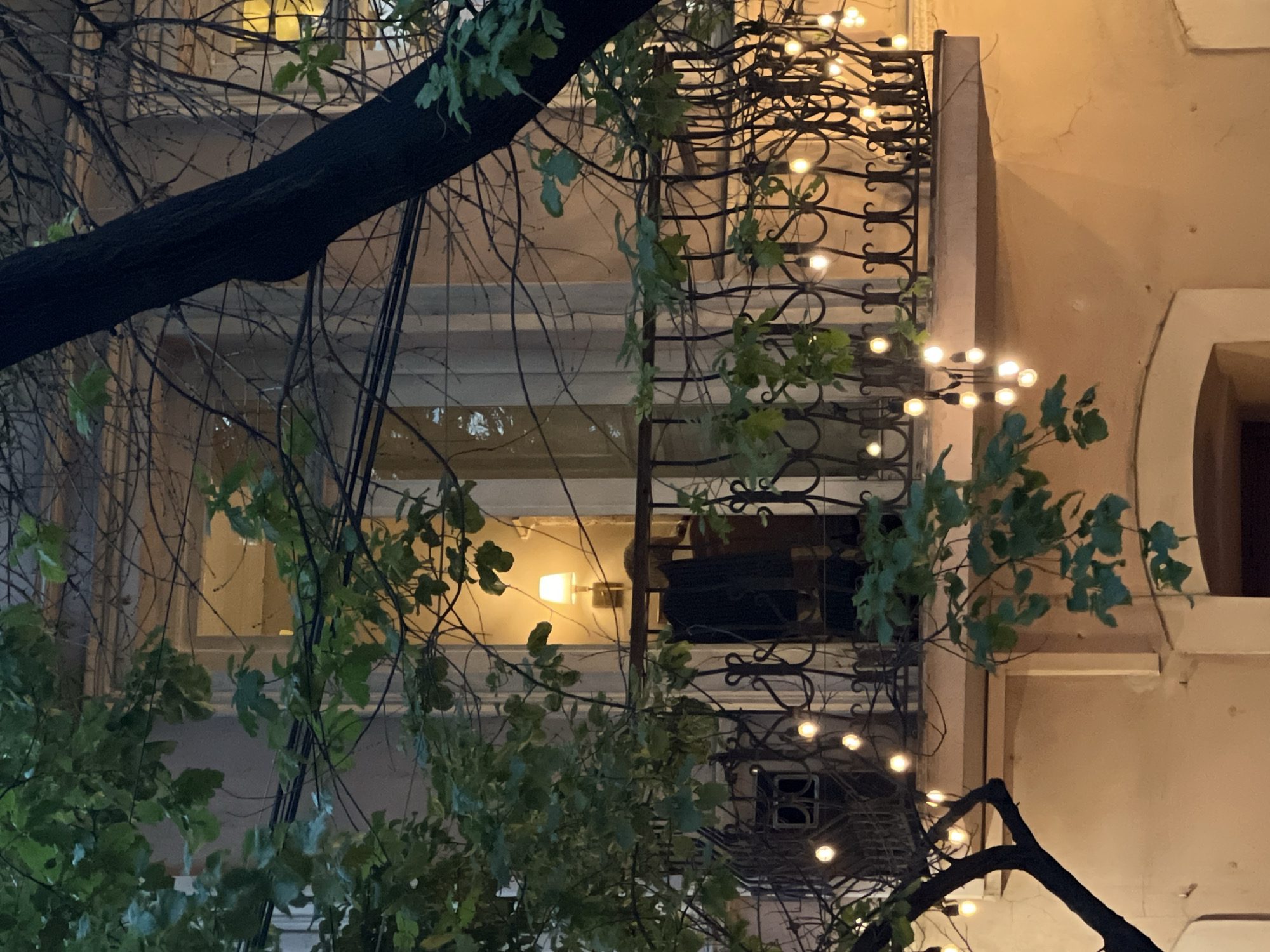 View of a balcony at night in Unknown, Unknown. The balcony is wrought iron and has string lights attached to it. A person can be seen inside the building behind the balcony. A tree with green leaves and bare branches is in the foreground. The building is pale yellow.