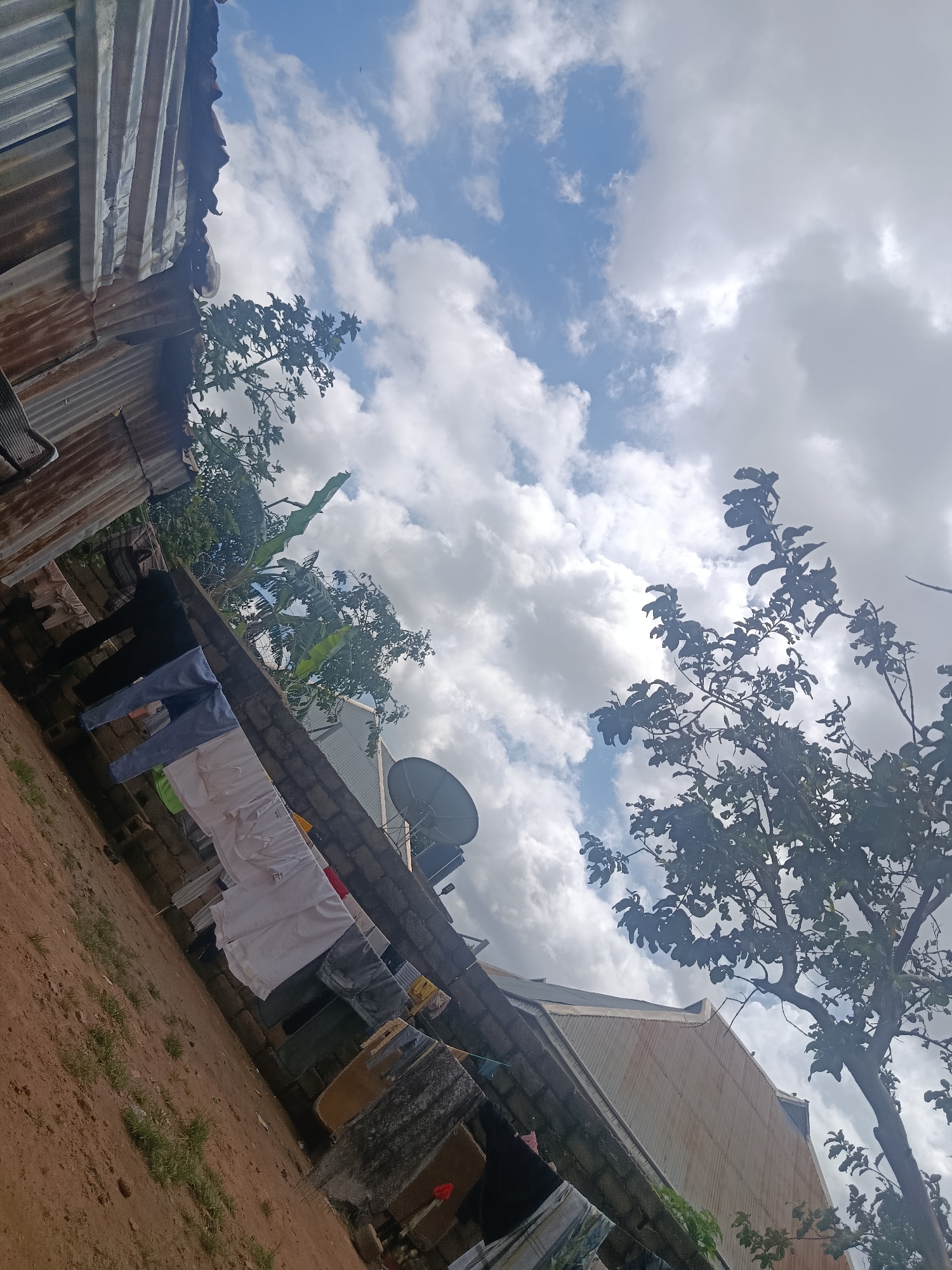 The image, captured outdoors, depicts a scene with a prominent blue sky filled with white, puffy clouds. In the foreground, a clothesline is strung across a brick wall, displaying several items of clothing, including white garments and what appear to be dark-colored pants. To the left, a corrugated metal structure, possibly a roof or wall, is visible, showing signs of rust and wear. Trees with dark green foliage are interspersed throughout the scene, with one particularly large tree branching out towards the right side of the frame. A satellite dish is mounted on a rooftop in the background. The ground appears to be a mix of reddish-brown dirt and sparse green grass. The image is tilted, suggesting it was taken at an angle. The overall setting suggests a residential area, possibly in a town or village.