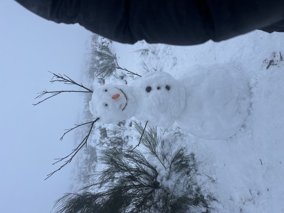 A two-section snowman stands in the snow. The left section has stick arms, a carrot nose, and snow eyes forming a smile. The right section has three dark rock eyes and a larger body. A gray foggy sky fills the background. Grasses covered with snow surround the snowman. A dark object appears in the top of the frame. The image is turned sideways.