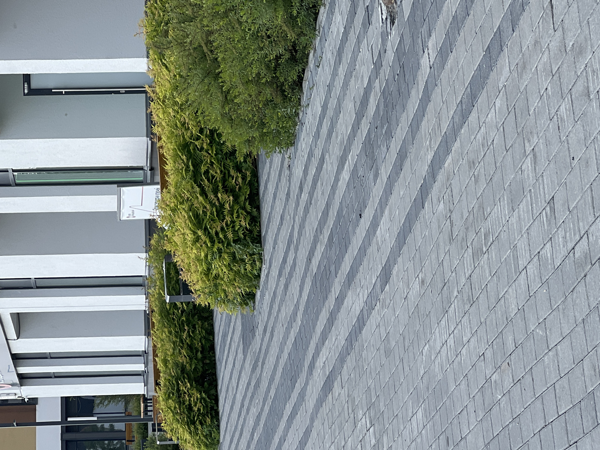 The image displays an exterior daytime scene featuring a modern building facade, extensive landscaping, and a patterned paved area, located in Yekaterinburg, Russia.
The upper portion of the image shows the light gray or white facade of a multi-story commercial or residential building. This structure incorporates several tall, narrow, dark-framed windows set between vertical, light-colored architectural elements, resembling pilasters or columns. On the far right, a dark-framed glass door with a long, vertical metal handle is visible. To the far left, a distinct section of the building with brown and darker tones is partially visible, featuring additional large windows and outdoor seating arrangements including tables and chairs. A partially obscured white rectangular sign, bearing some red graphic elements and dark, unreadable Cyrillic text, is situated behind the bushes near the building's center-left. A small white rectangular utility box is affixed to the building's wall above the shrubbery.
In the mid-ground, a dense, well-maintained stretch of green shrubbery or hedges runs parallel to the building. The foliage exhibits varying shades of green, with noticeable clusters of lighter, yellowish-green leaves, particularly in the central and right sections. These bushes effectively obscure the lower parts of the building facade.
The foreground is dominated by a paved pedestrian surface composed of rectangular concrete pavers. These pavers are laid in an alternating pattern of light gray and dark gray stripes, which extend diagonally across the entire ground plane from the lower left to the upper right. The paving appears generally clean, with visible seams between the individual blocks and minor surface wear. No individuals, animals, or significant actions are present within the frame.