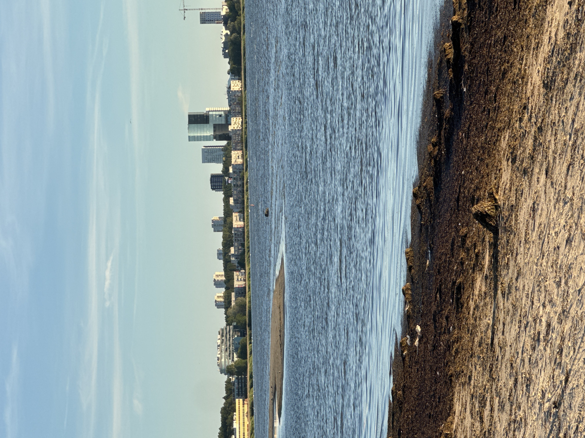 The image shows a coastal view of the city of Tallinn, Estonia, during daylight. In the foreground, a sandy beach is visible, covered in dark seaweed and debris. The middle ground features a calm body of water with a small sandbar in the center. In the background, a cityscape with various buildings, including modern high-rises and residential blocks, lines the horizon. Trees and vegetation are interspersed among the buildings. A construction crane is visible on the far right. The sky is clear with some wispy clouds.
