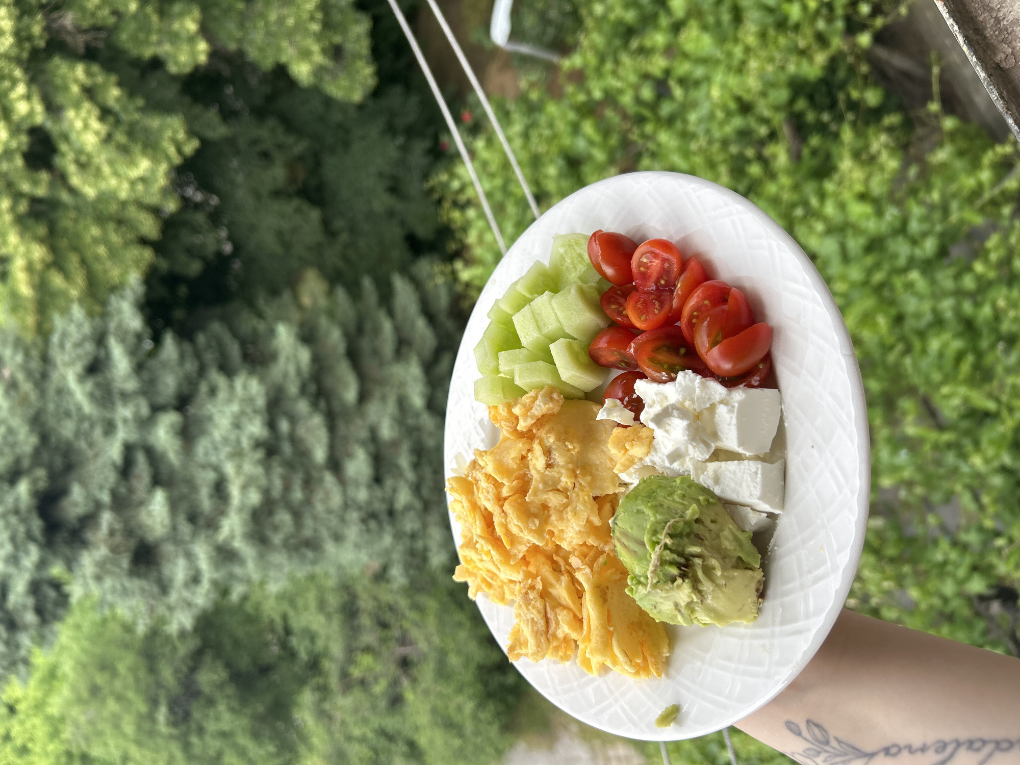 A hand holding a white plate of food is positioned against a backdrop of lush greenery, likely foliage from trees or shrubs. The food on the plate consists of diced cucumbers, halved cherry tomatoes, cubed white cheese (likely feta), scrambled eggs, and a portion of avocado. The location is not explicitly stated as Plovdiv, Bulgaria, but the environment outside may match the city's vegetation and urban nature. There are light-colored cables or wires visible above the plate, possibly part of a building's infrastructure. The image is shot from a high angle, suggesting the person is on a balcony or elevated position. The hand holding the plate has a tattoo visible on the arm.