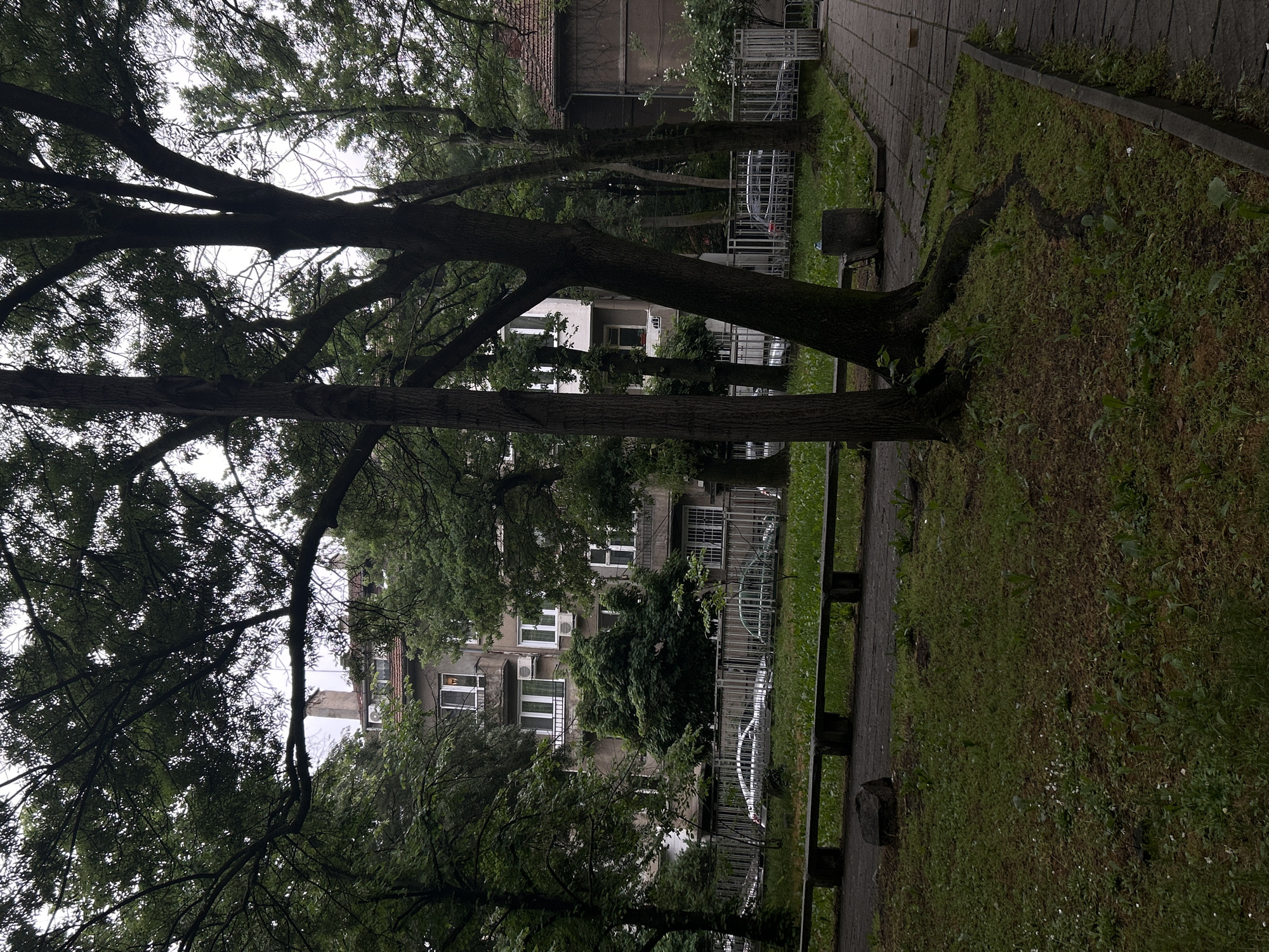 This image captures an urban green space in Sofia, Bulgaria, characterized by a natural setting adjacent to residential buildings. The scene is dominated by several large, mature trees with thick, dark trunks and dense green foliage, particularly prominent in the foreground and extending overhead, partially obscuring the overcast sky.
A paved pathway, made of grey stone or concrete slabs, meanders through the lower and middle sections of the frame, bordering grassy areas. The grass is green, though some patches appear sparser, and visible tree roots emerge from the ground near the path. A simple, dark concrete block or low bench is situated beside the walkway. A light-colored metal fence runs parallel to one of the buildings in the background.
Through the gaps in the tree canopy, multi-story apartment buildings are visible. These structures feature numerous windows, many with white frames, and balconies. Several external air conditioning units are mounted on their facades. The architectural style, with its concrete or stucco appearance, is typical of residential buildings found in Eastern European cities. One building in the background has a distinct red-tiled roof, while others show flatter, darker rooflines.
The lighting suggests an overcast day, providing soft, diffused light and an overall muted atmosphere. There are no people visible, and no specific activities or events are taking place, presenting a static, quiet urban landscape. No discernible text is visible within the image. The overall impression is that of a calm, established residential area with ample greenery.