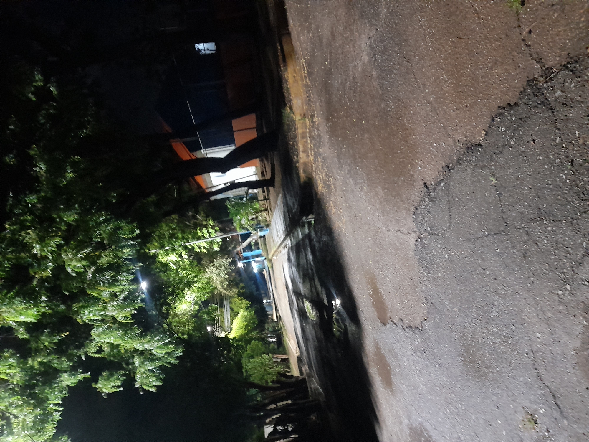 The image depicts a nighttime scene on a paved road in the city of Santa Ana, Venezuela. The road appears wet, with several puddles reflecting the ambient light. Trees with dense foliage line the left side of the road, their branches creating shadows on the pavement. On the right side, a building with an orange facade and dark windows is visible, partially obscured by trees. Streetlights are present, casting illumination that highlights the wet road and the surrounding vegetation. The overall impression is that of a quiet, possibly residential or park-like area at night, with the wetness suggesting recent rainfall or the presence of sprinklers. No people or vehicles are visible in the frame.