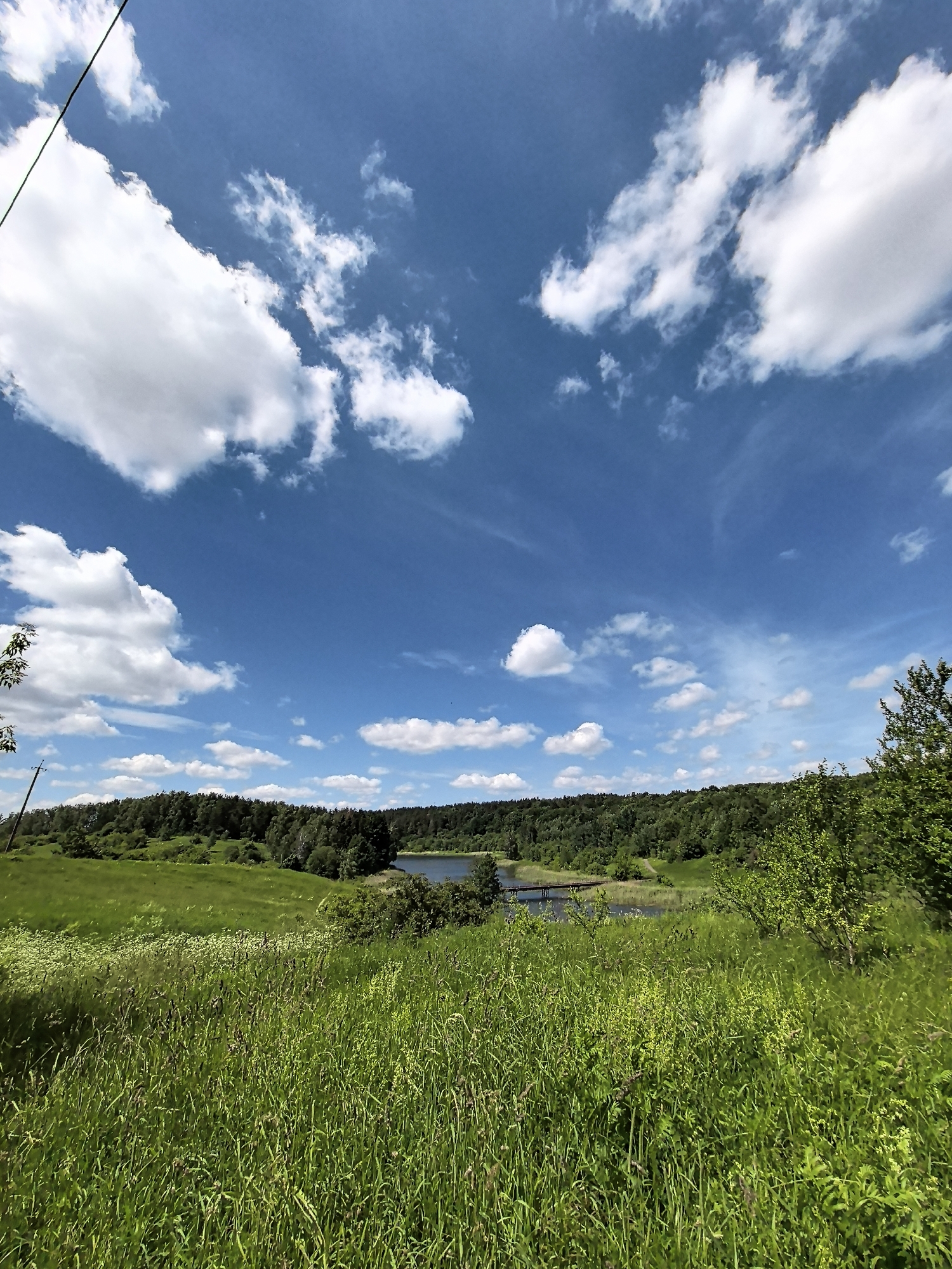 An eye-level, full shot captures a vibrant landscape under a bright blue sky dotted with fluffy white clouds. The foreground is dominated by a dense field of tall, green grass and wildflowers, with some darker, taller grasses interspersed. A thin, dark electrical wire or cable runs diagonally across the upper left corner of the image, originating from outside the frame.
Beyond the grassy field, rolling green hills descend towards a tranquil body of water, likely a lake, which is partially obscured by trees. A dark wooden bridge spans a section of the water. The middle ground features a lush, dense forest with varying shades of green foliage. The horizon is defined by the tree line and the sky. The overall impression is of a peaceful, natural setting on a sunny day. The location is identified as Unknown, Unknown.