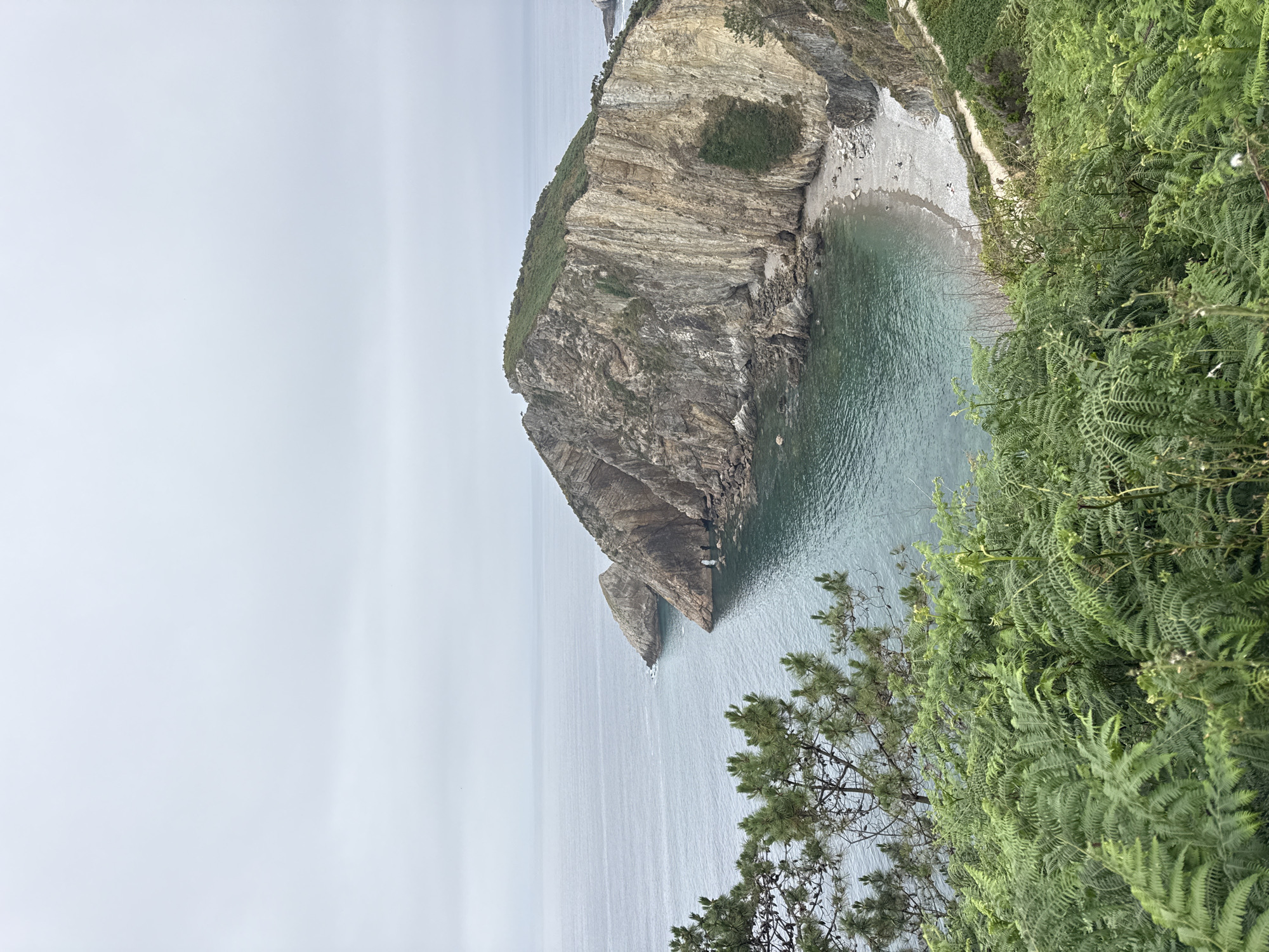 This is an eye-level, long shot photograph of a coastal cliff face in Cudillero, Spain. The cliff is tall and rocky, with green vegetation growing on its upper slopes and in patches along its sides. At the base of the cliff is a small, pebbly beach that curves into a cove. The sea is a deep blue-green and appears calm, with a few rock formations jutting out of the water near the shore. In the foreground, lush green ferns and pine trees frame the scene. The sky is overcast and a muted gray, indicating a cloudy day. A narrow, sandy path with a wooden railing winds down the side of the cliff towards the beach, where a few small figures can be seen walking.