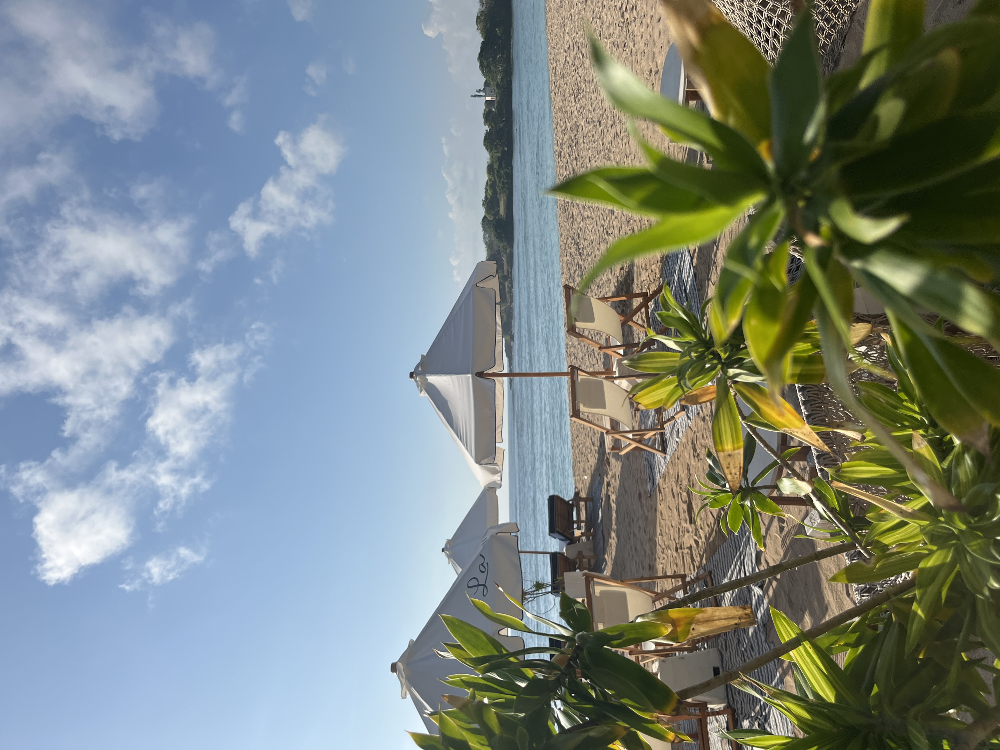 This is a photograph taken from a beach in Kuta Selatan, Indonesia. The foreground is dominated by lush green foliage, obscuring a portion of the view. In the midground, several white beach umbrellas are set up on the sand, providing shade for empty lounge chairs. The umbrellas are spaced apart, and some appear to have the word "L**" printed on them. The beach is sandy and appears clean. Beyond the beach is the calm, blue ocean, with a clear horizon line. In the distance, across the water, is a landmass with trees and a small structure, possibly a lighthouse or monument, visible on a hill. The sky is a bright, clear blue with scattered white clouds. The overall scene depicts a serene and inviting beach resort setting.