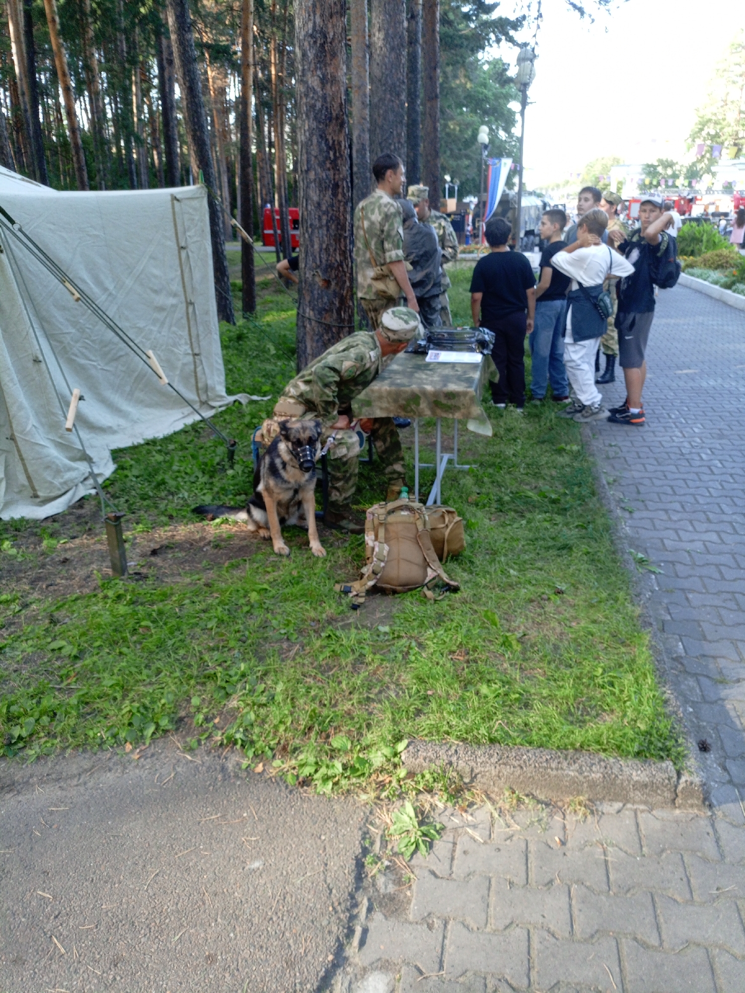 In Zheleznogorsk, Russia, a German Shepherd dog wearing a black muzzle sits attentively on the grass next to a man in camouflage military attire. The man is crouched and appears to be interacting with the dog. Behind them, a large, light-colored tent is set up, likely for camping or an outdoor event. Several other individuals in military-style clothing stand in the background, some observing a table with items on it. The scene is set in a wooded area with tall pine trees, and a paved walkway runs along the right side of the image, suggesting a park or recreational area. The overall impression is one of a military or paramilitary event taking place in an outdoor, natural setting.