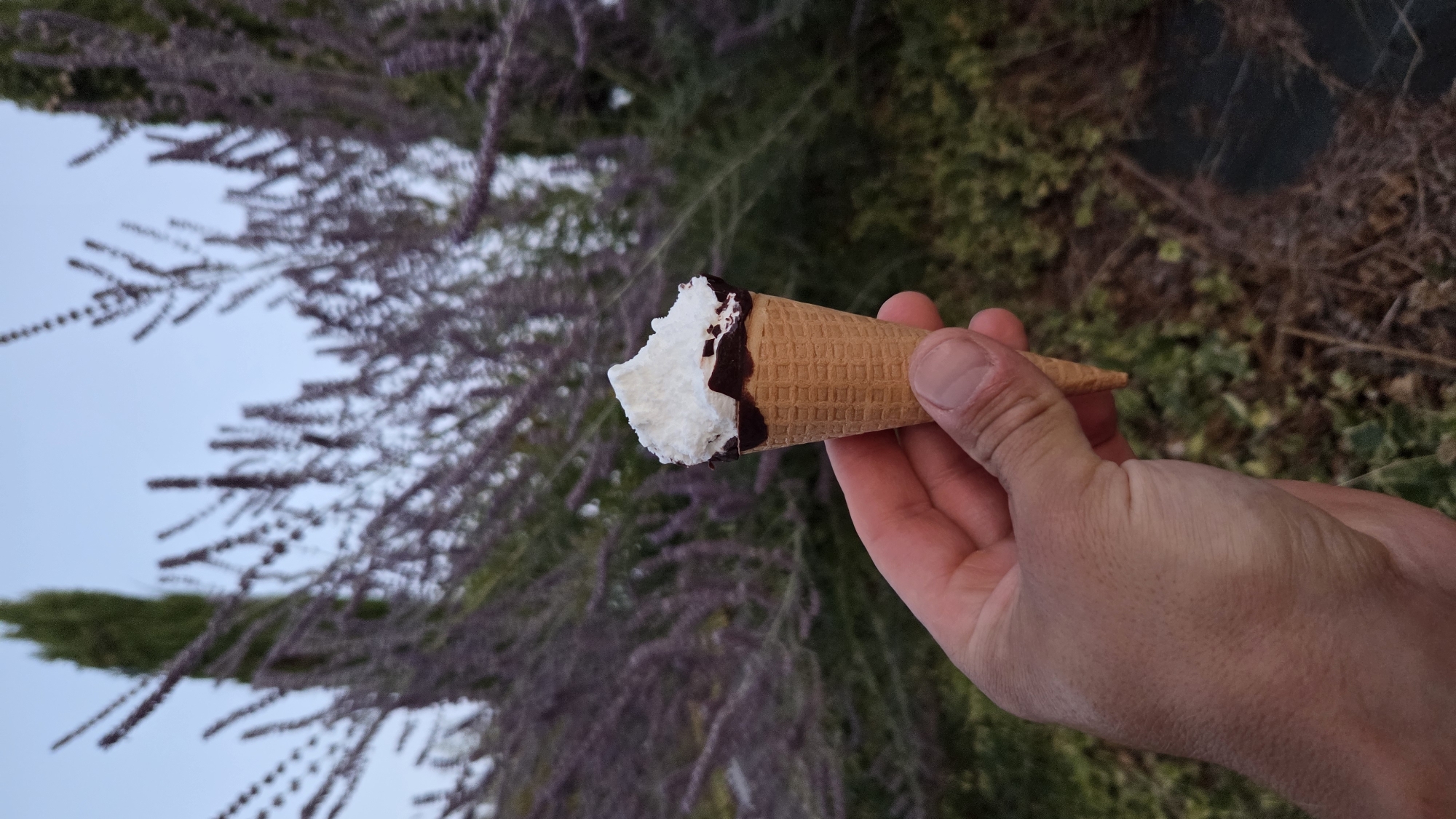 A close-up shot captures a person's hand holding a small ice cream cone outdoors, with a blurred background of foliage and a tall, green tree. The ice cream is white, with a dark chocolate rim on the cone. The scene is likely in Macé, France, given the context.