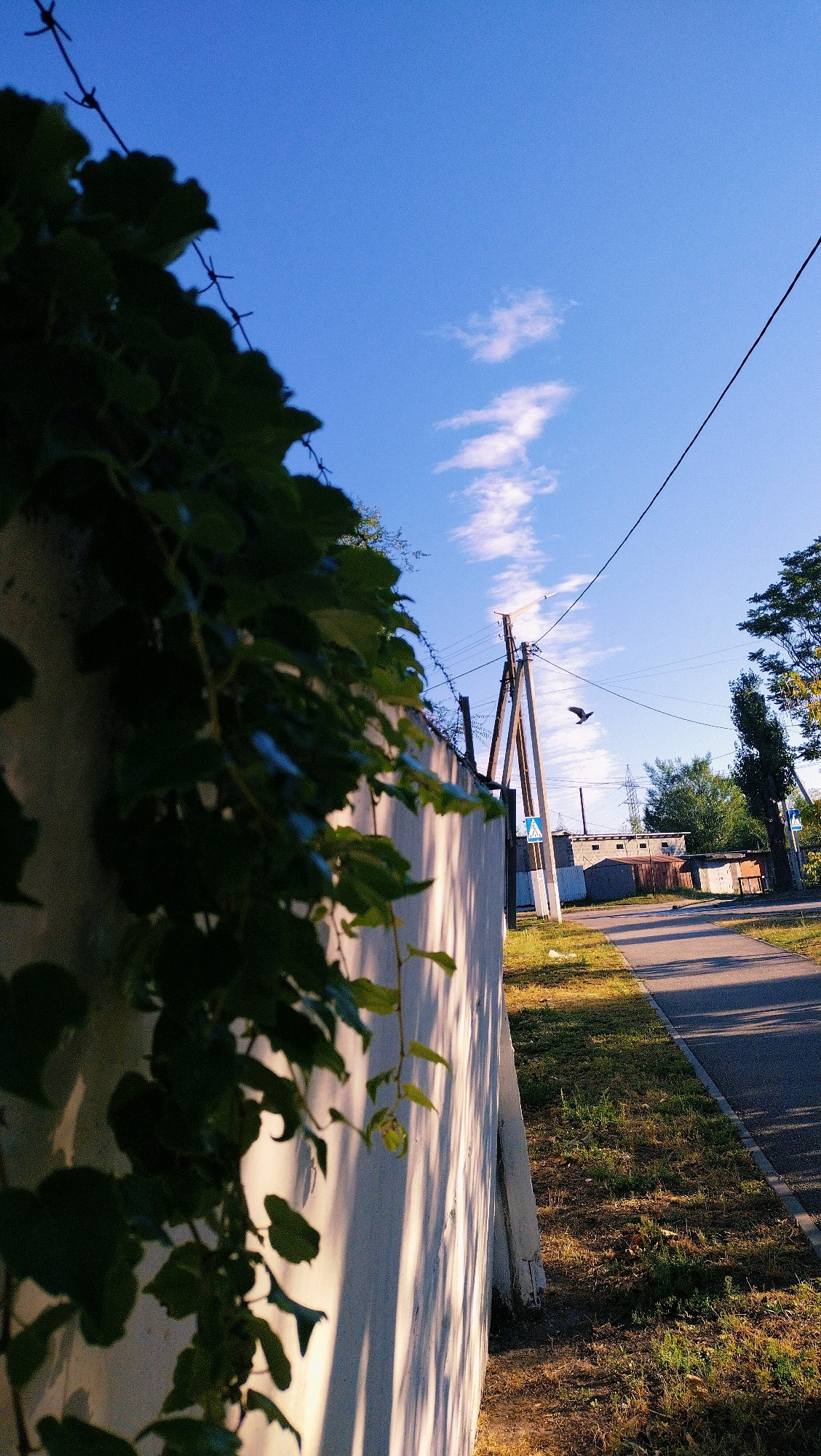 The image depicts an outdoor scene, likely in a semi-industrial or residential area, possibly within Horishni Plavni, Ukraine, given the context. In the foreground, to the left, a white wall is partially obscured by lush green foliage and barbed wire. The wall is illuminated by sunlight, casting long, distinct shadows from the leaves.
To the right of the wall, a paved road or pathway stretches into the background. Alongside the road is a strip of dry grass. In the middle ground, several utility poles, one with an upside-down triangular sign, stand near the road. Beyond the poles, there are low-rise buildings, appearing to be sheds or small industrial structures, some with corrugated metal roofs. Trees are visible in the distance.
The sky is a vibrant blue with scattered white clouds, some appearing elongated and wispy. A single bird is captured in flight, silhouetted against the sky, to the right of the utility poles. Power lines traverse the upper portion of the image. The overall impression is of a sunny day, possibly late afternoon or early morning, given the angle of the shadows.