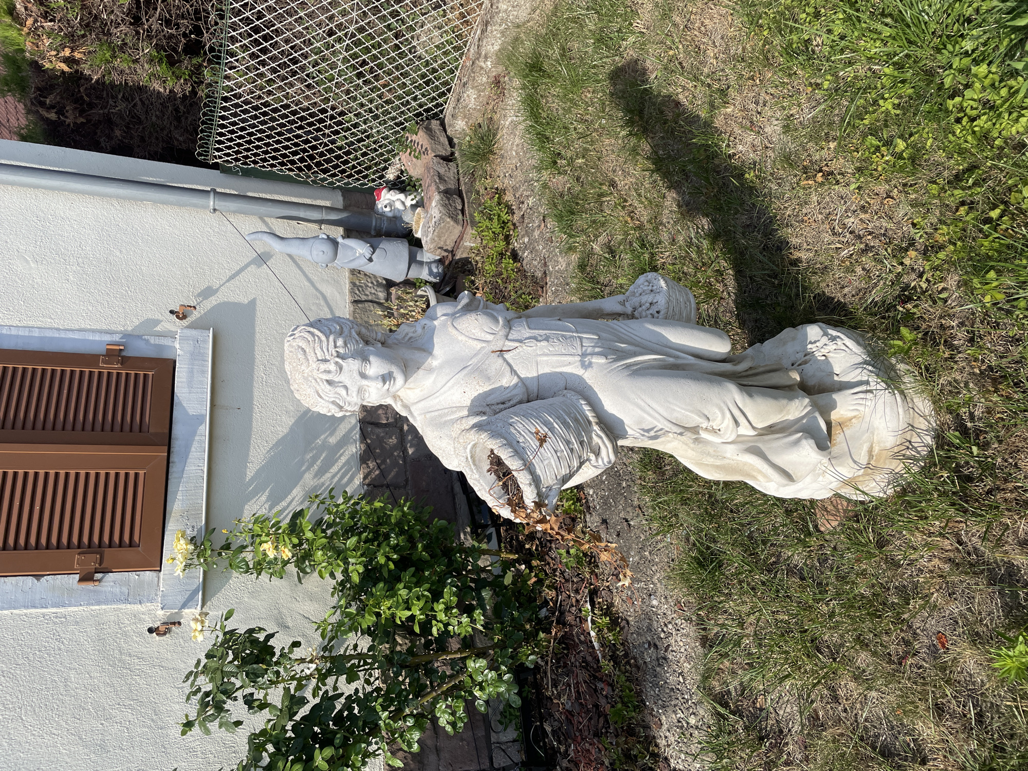 The image depicts a sunlit garden scene outside a residential building in Gerstheim, France. In the foreground, a white stone statue of a woman holding a basket with dried leaves stands on a stone base amidst overgrown grass. Behind the statue, a rose bush with yellow flowers is visible. To the right of the statue, a grey garden gnome and a smaller figure are placed near a chain-link fence. The building's exterior wall is textured and painted white, with a brown shuttered window. A drainpipe runs vertically along the wall. The ground is a mix of grass, gravel, and mulch. The overall impression is that of a well-maintained, albeit slightly untidy, outdoor space.