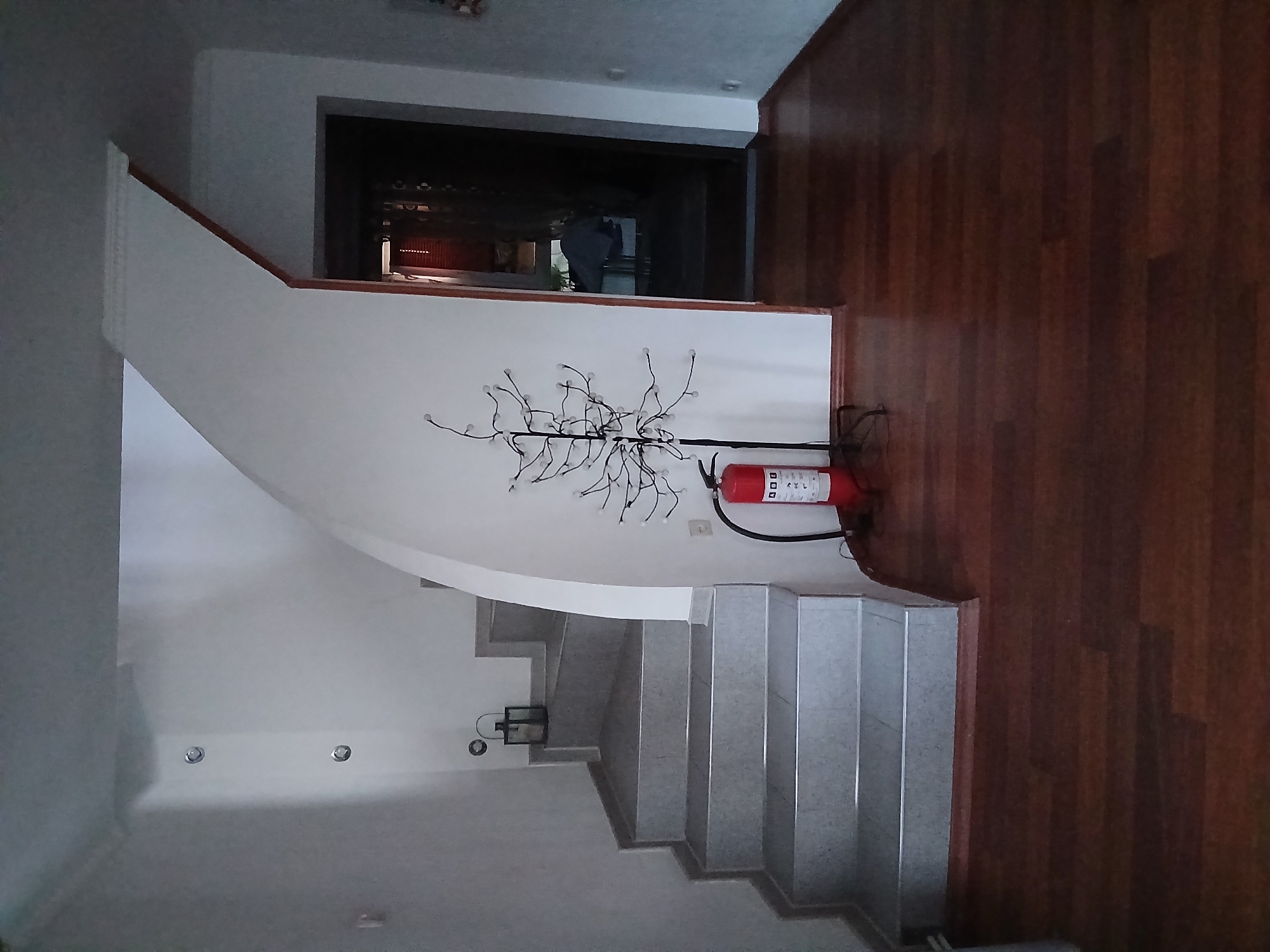 The image shows an interior view of a modern house, featuring a curved staircase with grey tiled steps and a wooden floor. On the landing of the staircase, there is a black lantern. To the right of the staircase, against a white wall, stands a decorative wire tree with small lights and a red fire extinguisher. Beyond the staircase, a dark doorway leads into another part of the house. The scene is indoors and appears to be well-lit by artificial light sources, with the overall ambiance suggesting a residential setting in Vita-Poshtova, Ukraine. There are no people visible in the image.