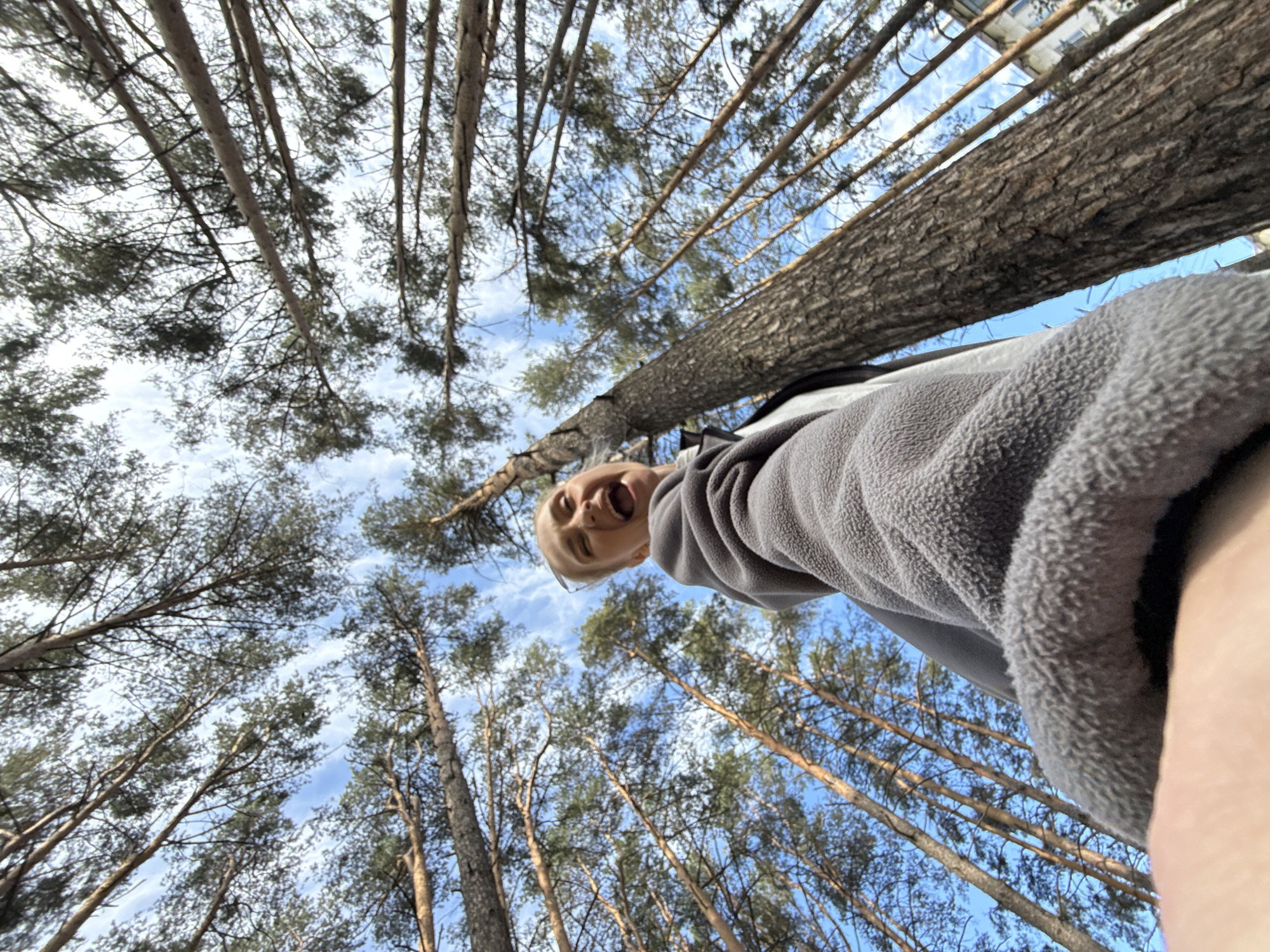 This low-angle, wide-angle selfie captures a young person, likely a woman with blonde hair, in a forest setting. The subject's face is positioned in the lower-center of the frame, looking up directly at the camera with a wide-open mouth, suggesting an expression of excitement, laughter, or a playful yell. She is wearing a grey, textured fleece top, with a portion of her arm visible on the right side of the image, presumably holding the camera.
The background is dominated by numerous tall, slender coniferous trees, stretching upwards towards a bright, clear blue sky with scattered wispy white clouds. The perspective is looking upwards from near the ground, emphasizing the height of the trees and the open sky. A large, bare tree trunk cuts across the mid-section of the image, running diagonally from left to right, creating a prominent visual element. In the far upper right corner, a glimpse of a light-colored building is visible through the trees, suggesting the forest might be near an urban or residential area. The scene takes place during daylight hours, under bright and sunny weather conditions. The location context is Chaikovsky, Russia.