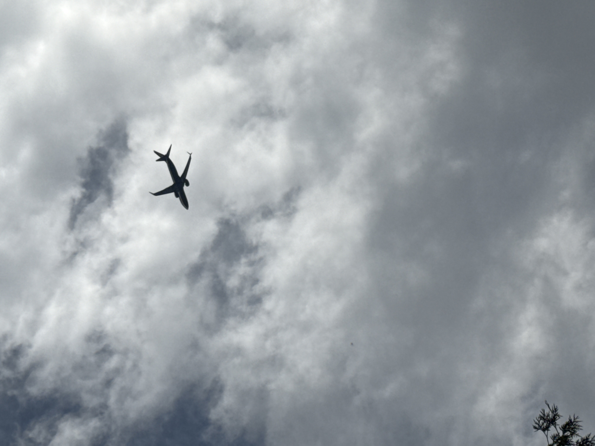 An airplane is silhouetted against a cloudy sky, seen from below. The airplane is in flight, with its wings and tail clearly visible. The clouds are dark and overcast, suggesting a stormy or cloudy day. The bottom left corner of the image shows a portion of a tree. There are no people visible in the image. The scene appears to be outdoors, with the sky as the dominant element. There is no specific information to indicate the location in Vilnius, Lithuania.