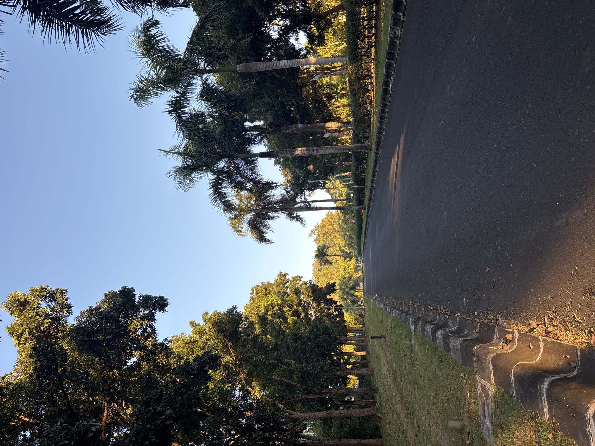 The image depicts a road in Kuta Selatan, Indonesia, flanked by palm trees and other trees. The road surface is asphalt, and a concrete curb separates it from a grassy area. The sky is clear and blue. There are no visible people, subjects, actions or interactions. A row of trees lines the opposite side of the road, creating a tunnel-like effect.