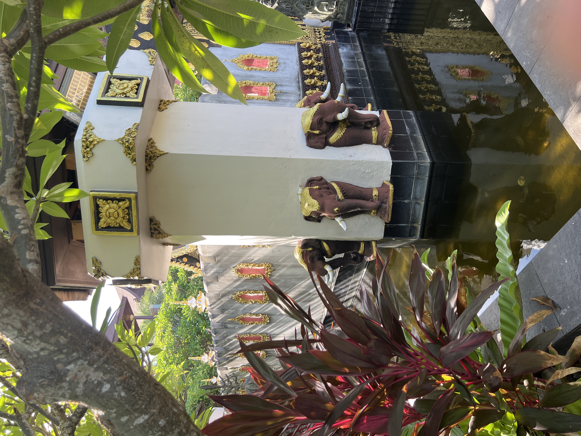 This is a medium-shot, eye-level, outdoor photograph of a decorative pond with elephant statues. The scene appears to be in Baan Lamai, Thailand, with the architecture suggesting a Thai temple or resort. In the foreground, on the left, is a cluster of lush, dark red and green plants. To the right, a rectangular white pillar stands in the pond, adorned with golden decorative elements and featuring three elephant statues facing outward. These statues are brown with gold detailing on their ears, foreheads, and legs. The pillar is surrounded by dark, reflective water, showing reflections of the surrounding structures.
Behind the pillar, a gray wall stretches across the background, decorated with ornate gold embellishments and several red-and-gold framed rectangular niches. The wall is topped with decorative spires. Beyond the wall, a building with a traditional Thai roof is visible, surrounded by green foliage. Overhanging branches of a tree with textured bark and green leaves frame the top of the image, with sunlight filtering through. The overall impression is one of a tranquil, culturally rich environment.